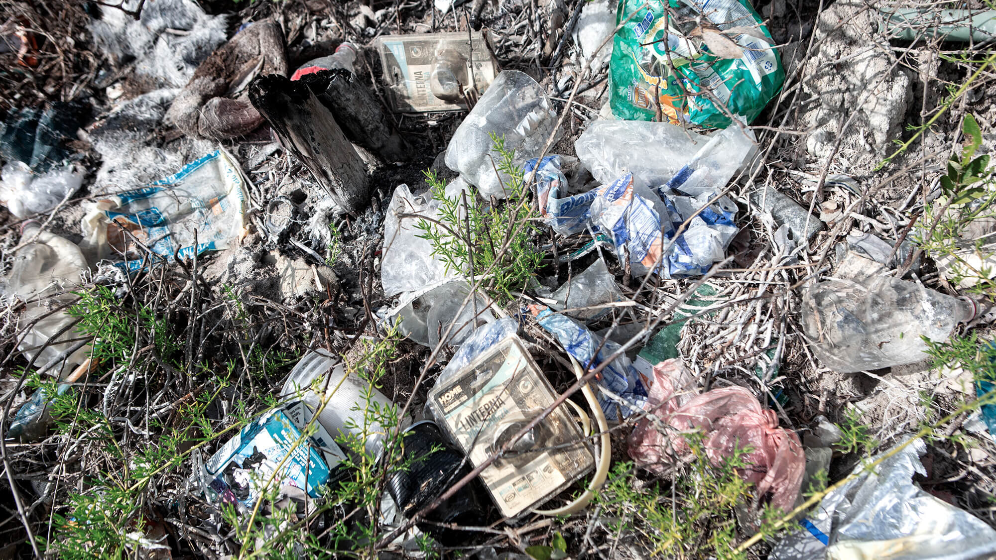 State of the Oceans — Log 110