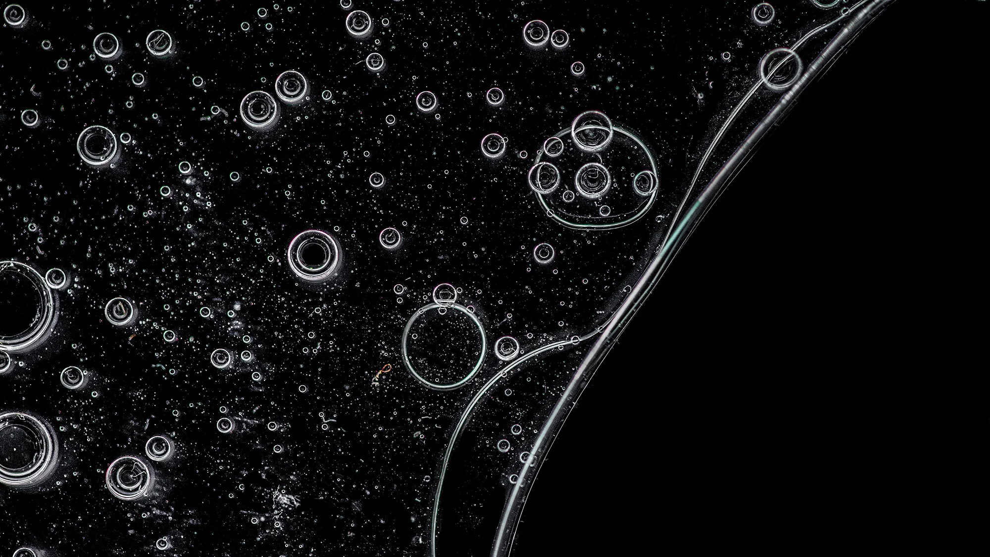 REPORT: UNDERSTANDING “BIO” MATERIAL INNOVATIONS