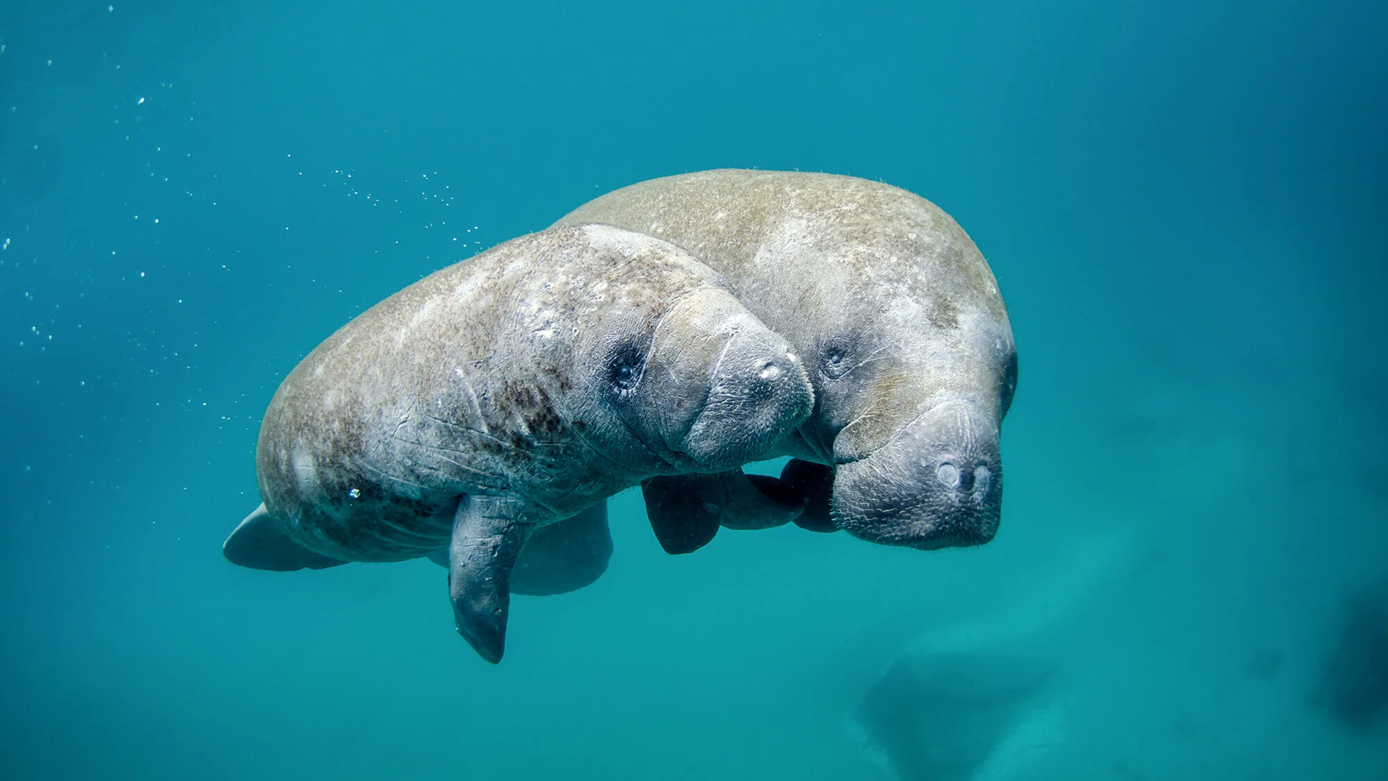 Our youngest Ambassador