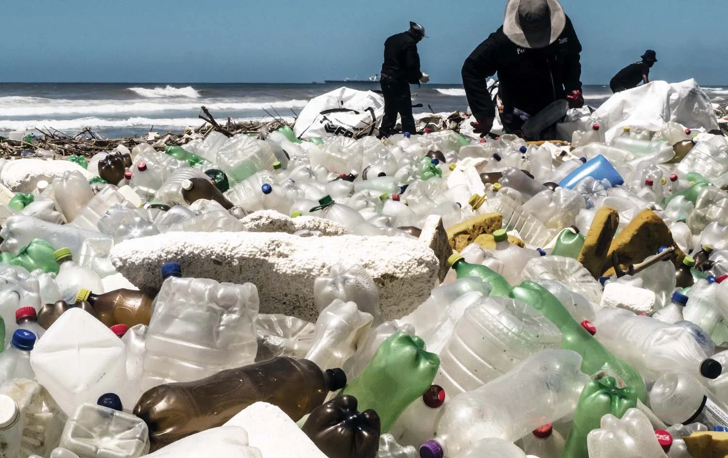 Artboard 1 copy 14.jpg