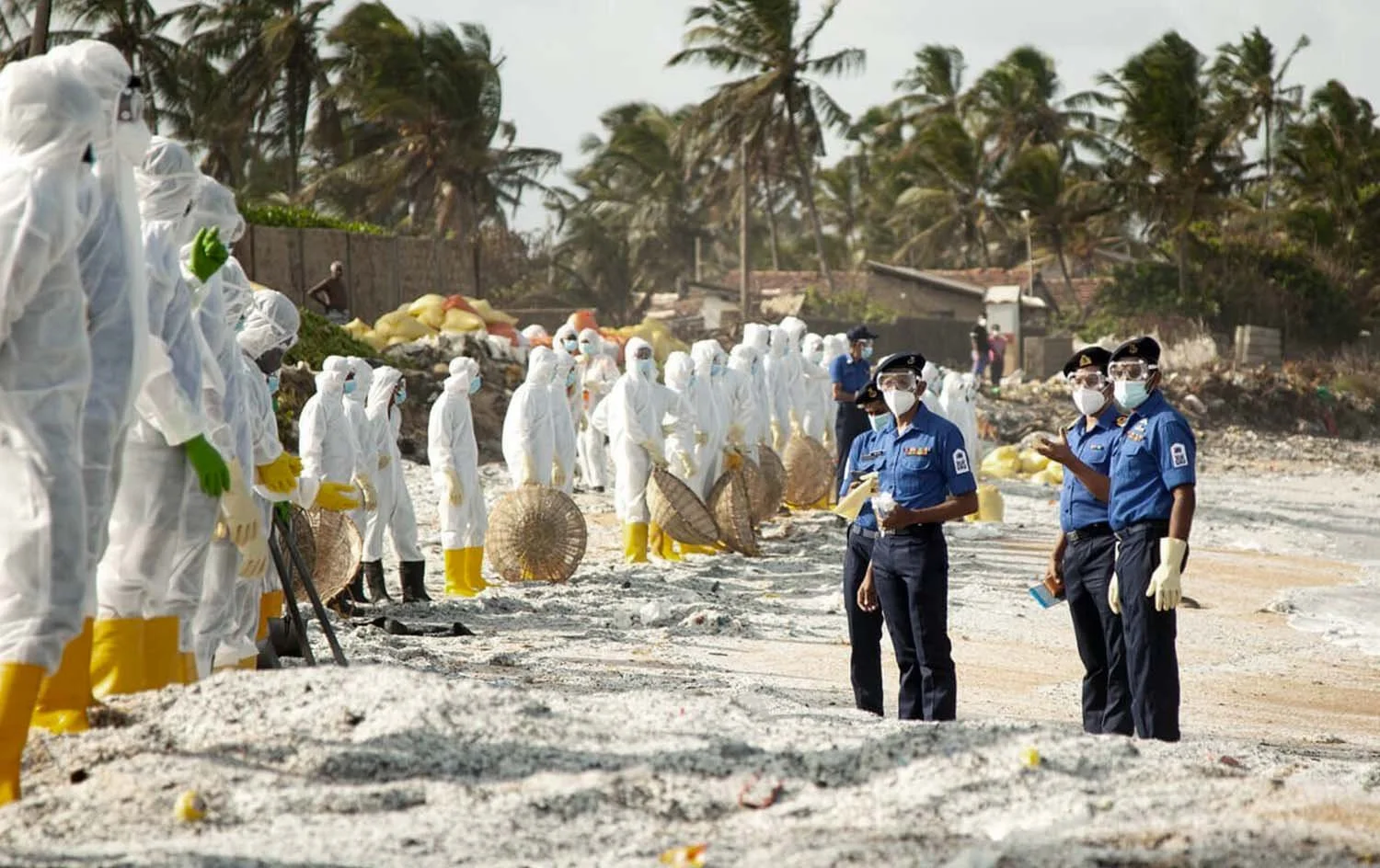 Artboard 1 copy 13.jpg