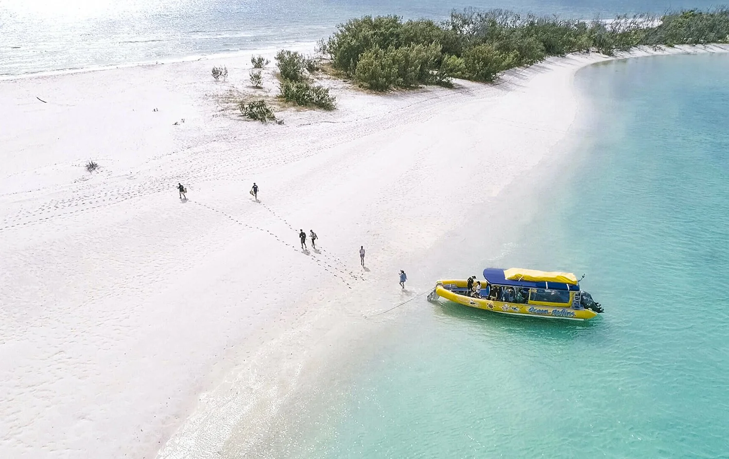 Artboard 1 copy 16 a.jpg