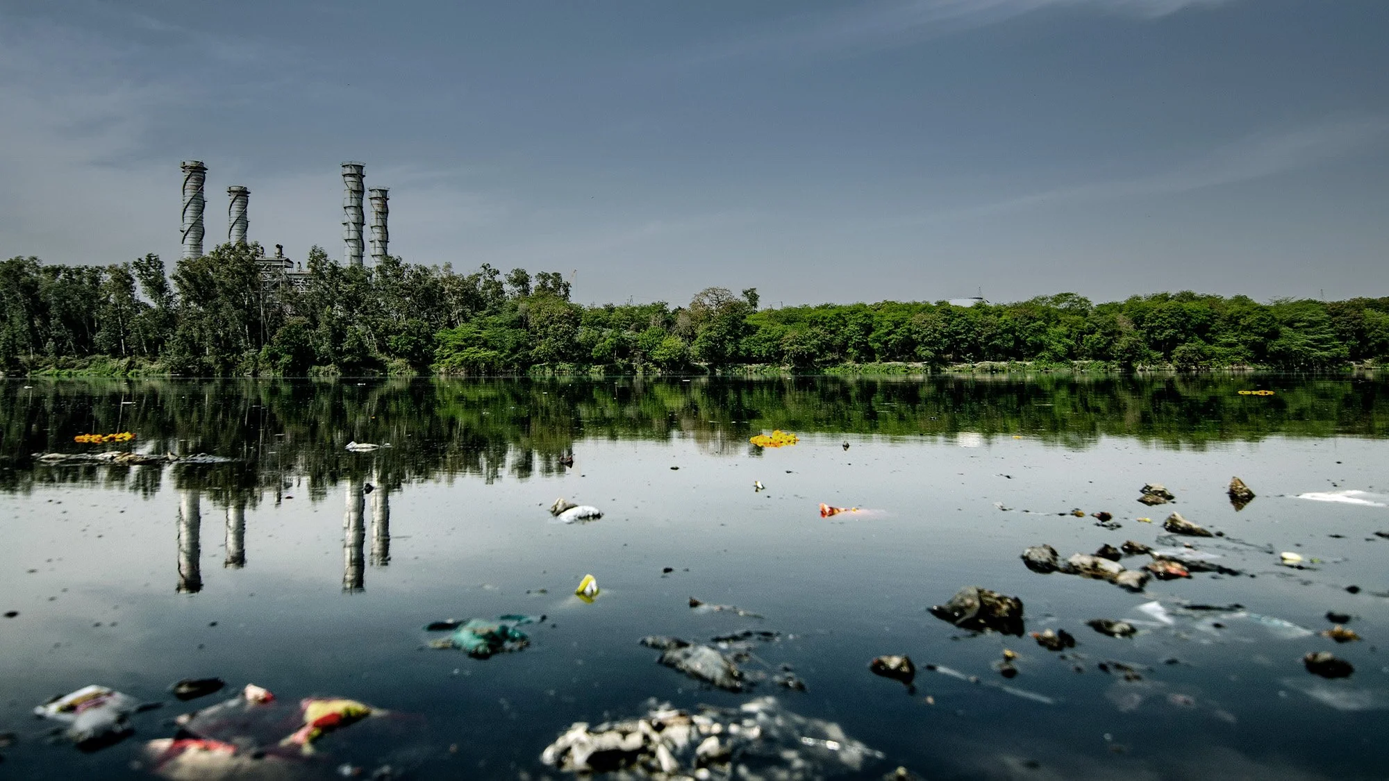 Fighting big plastic — and winning