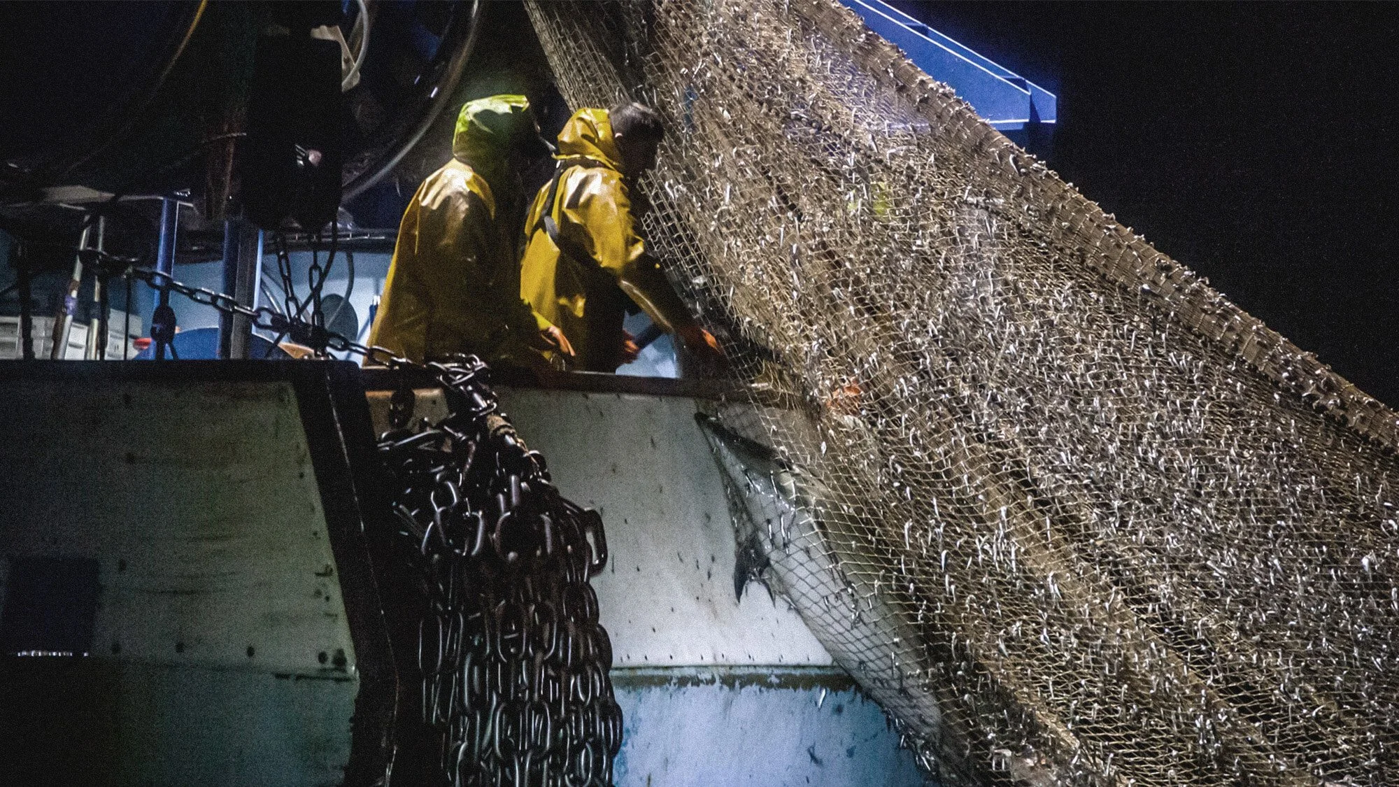 Lamya Essemlali: We Need to Take the Pressure Off The Ocean