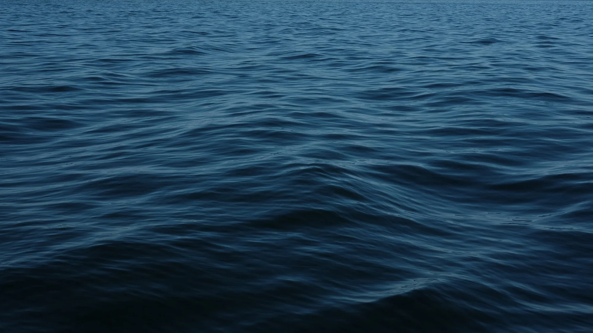 The beauty and fragility of the oceans in 25 photos