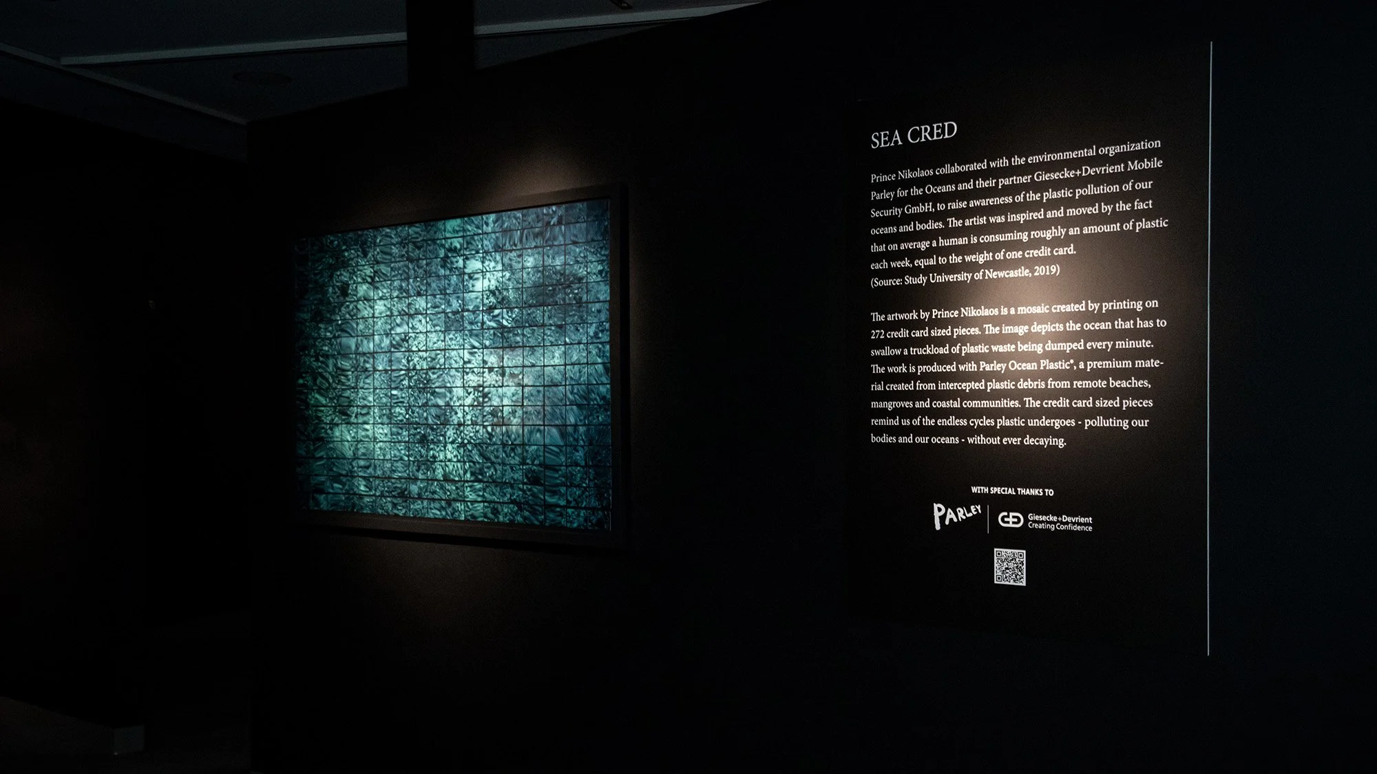 Sea Cred: An artwork by HRH Prince Nikolaos created from Ocean Plastic