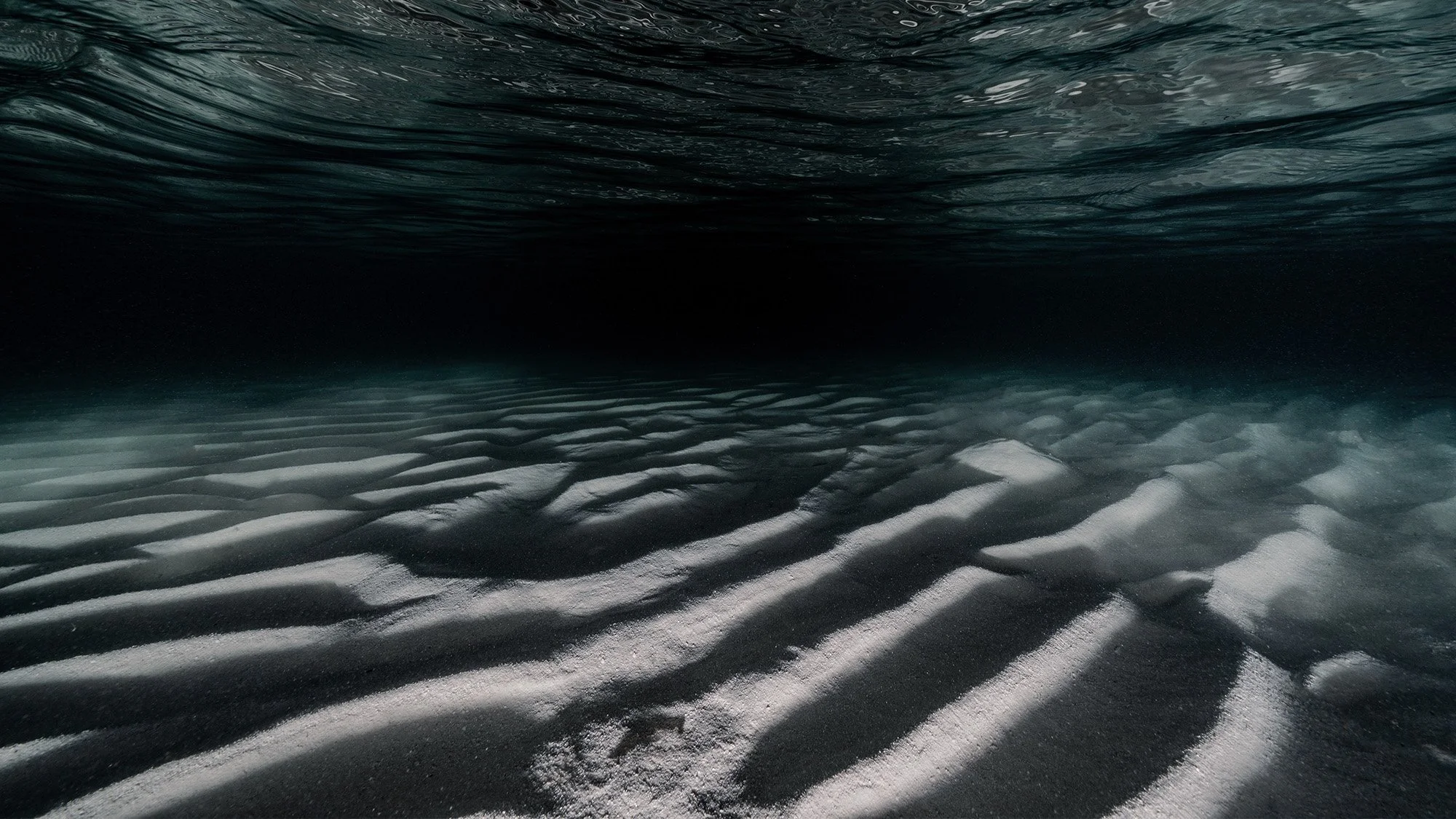 Dawn Wright: Rolling in the Deep