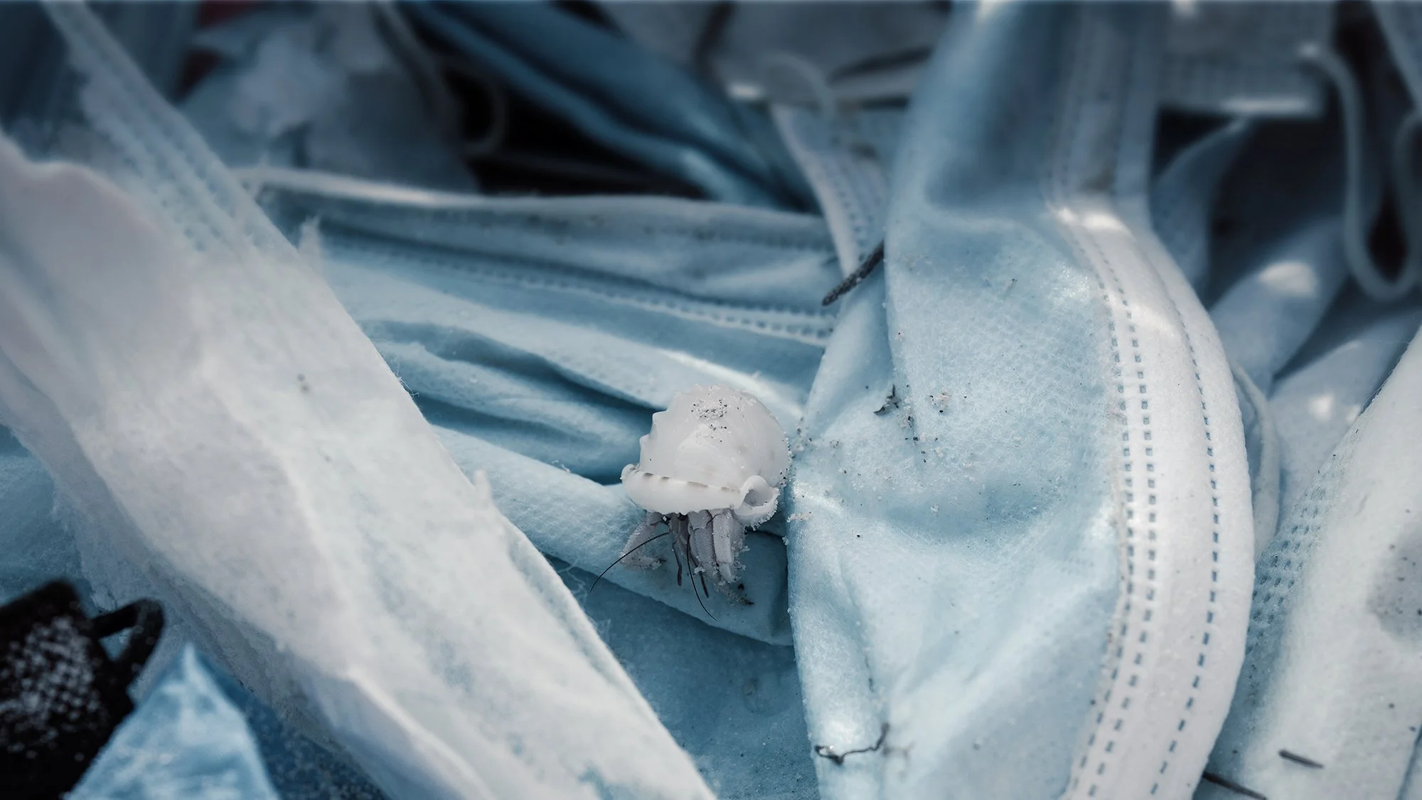 Parley AIR: Plastics and the Pandemic