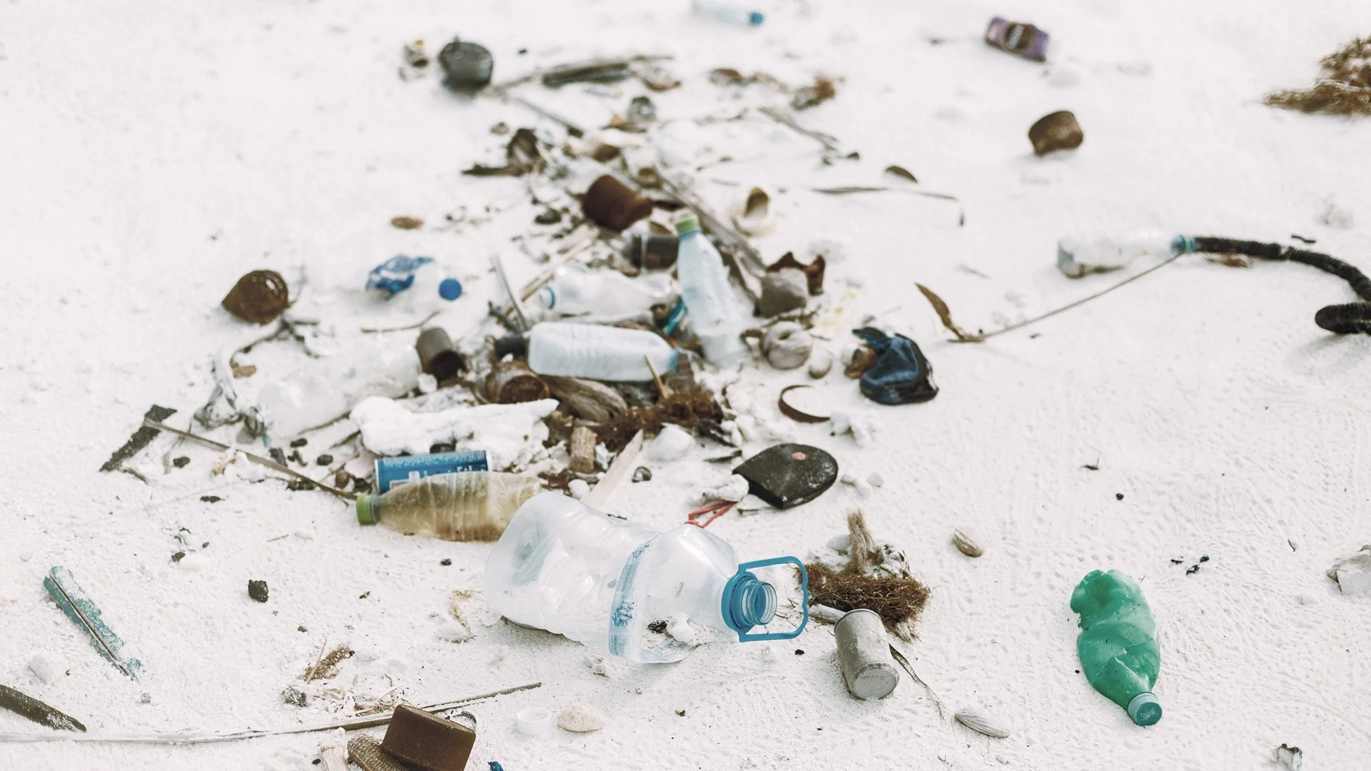 Parley AIR: Why we do beach cleanups