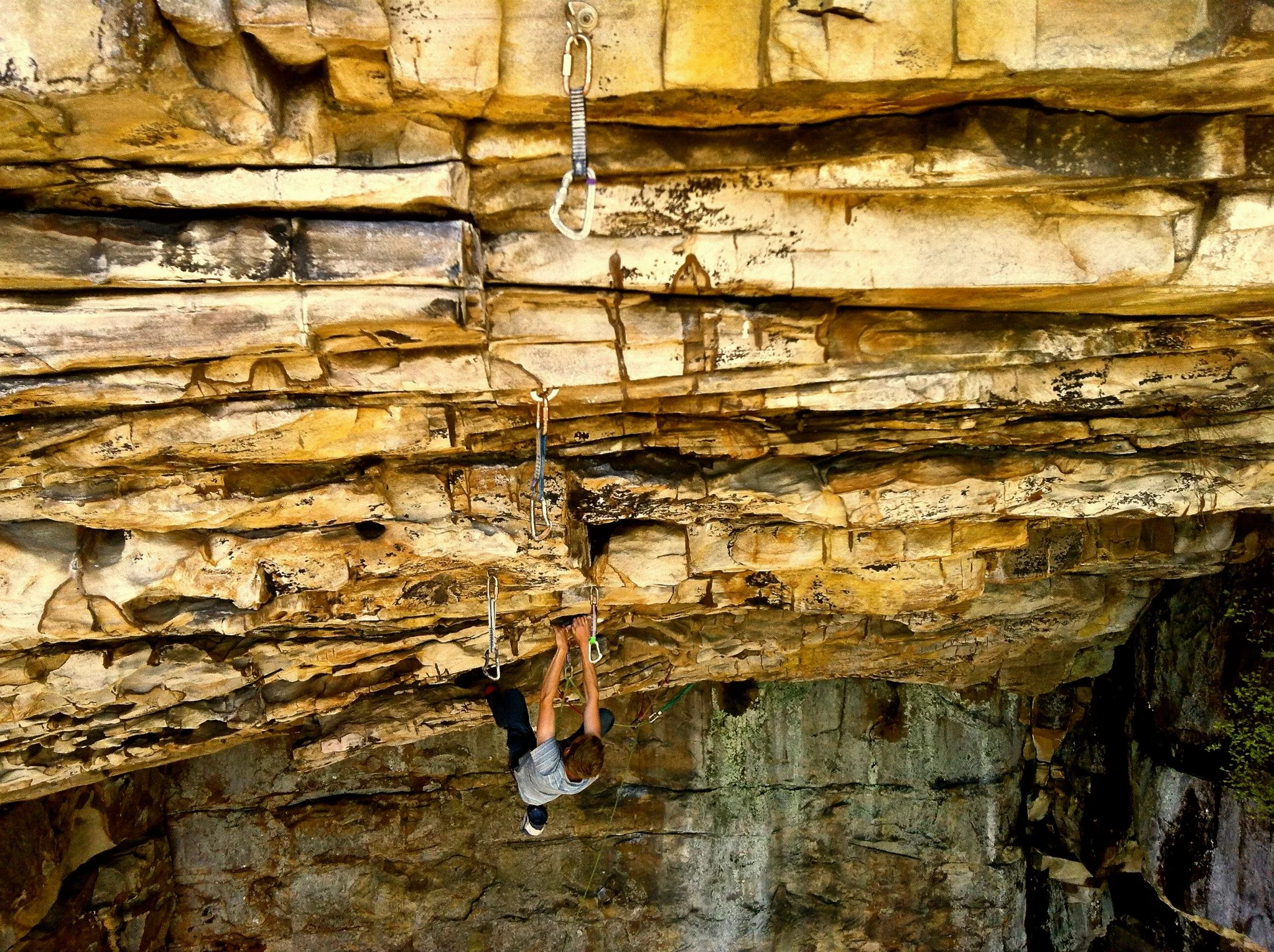 Rock Climbing in Leda, TN