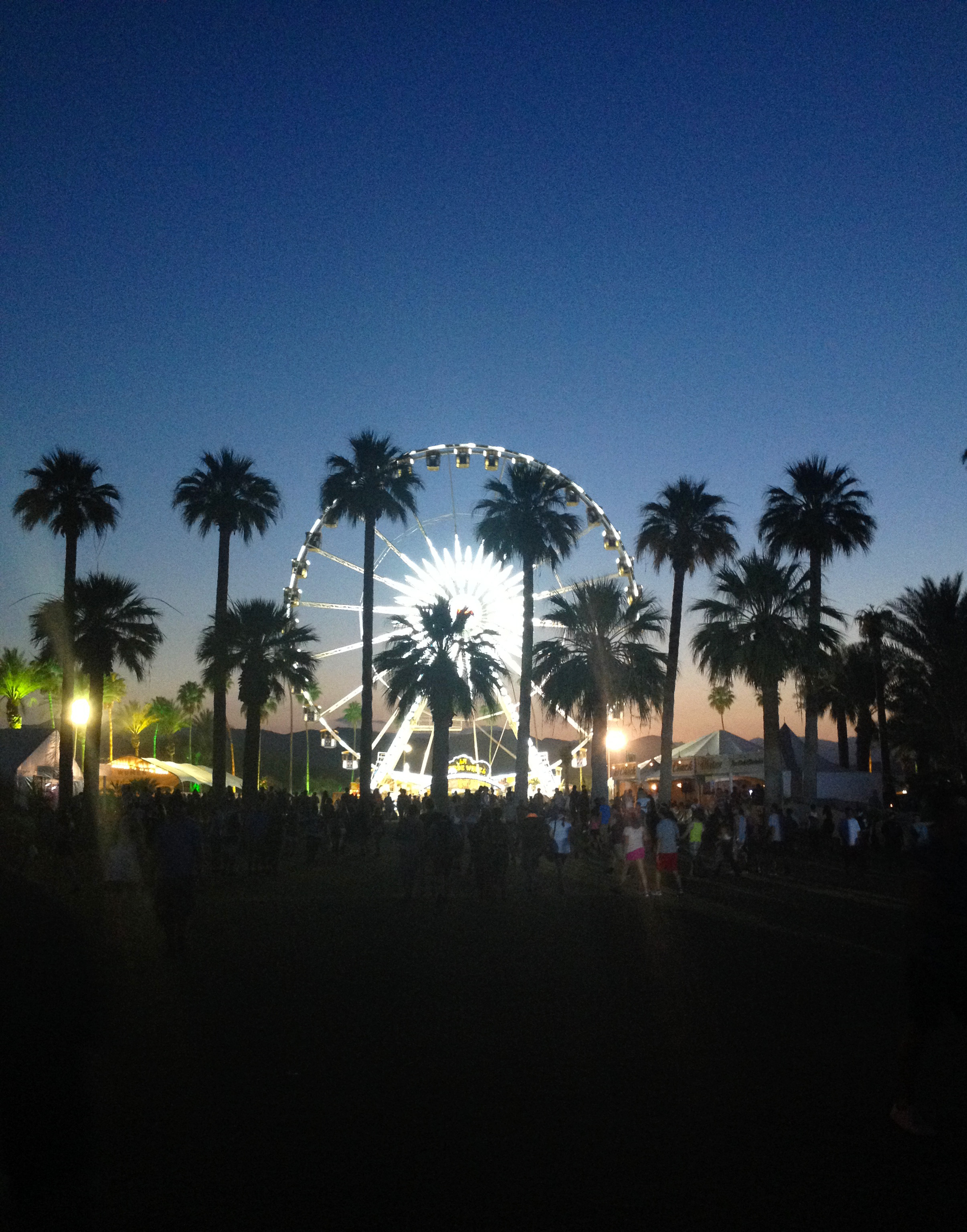 The Ferris Wheel at night.