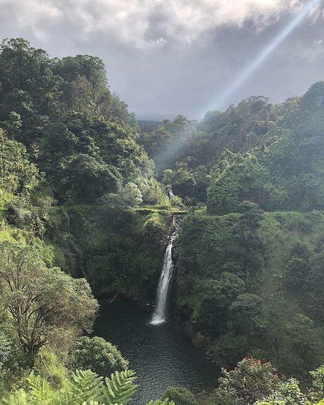 Maui nΕ ka βoi!! πΊπππ΄π #takemeback #maui #islandtime #mauinokaoi