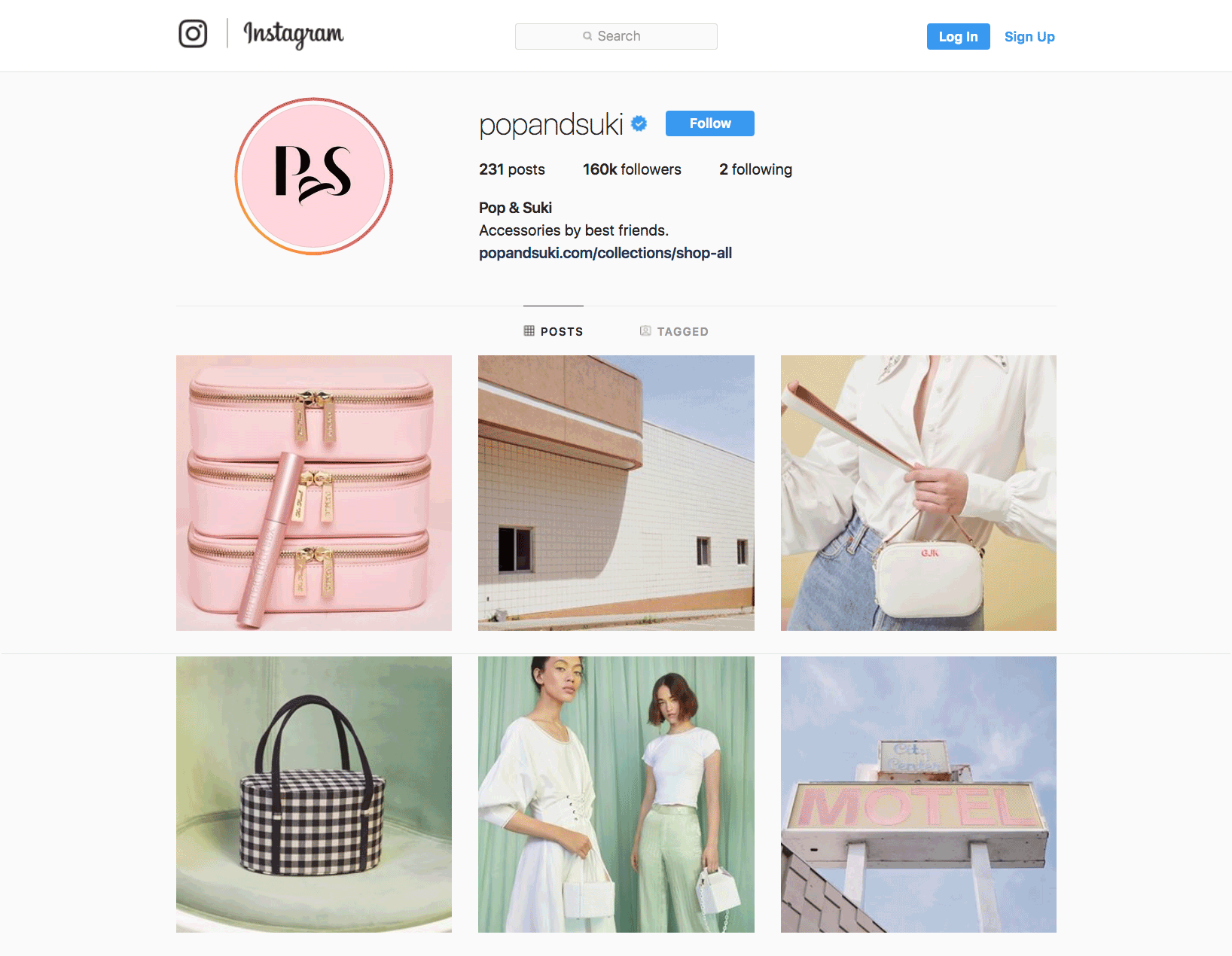 p&s-instagram-thumb.gif