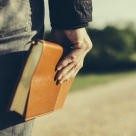 Bible-and-path_2-626x272.jpeg