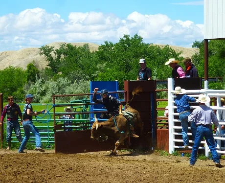 Bucking Chute