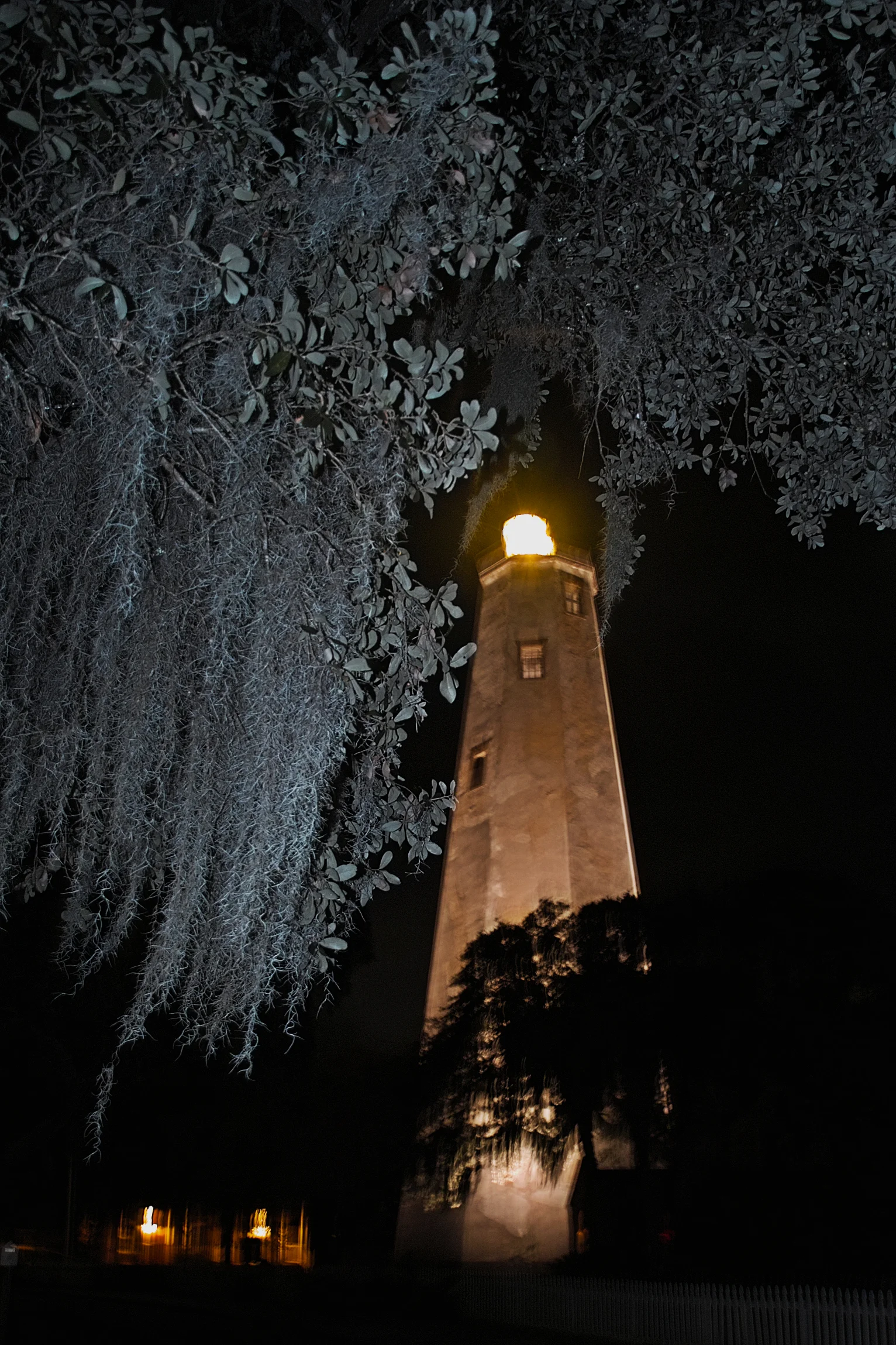 SDIM4787.jpg
