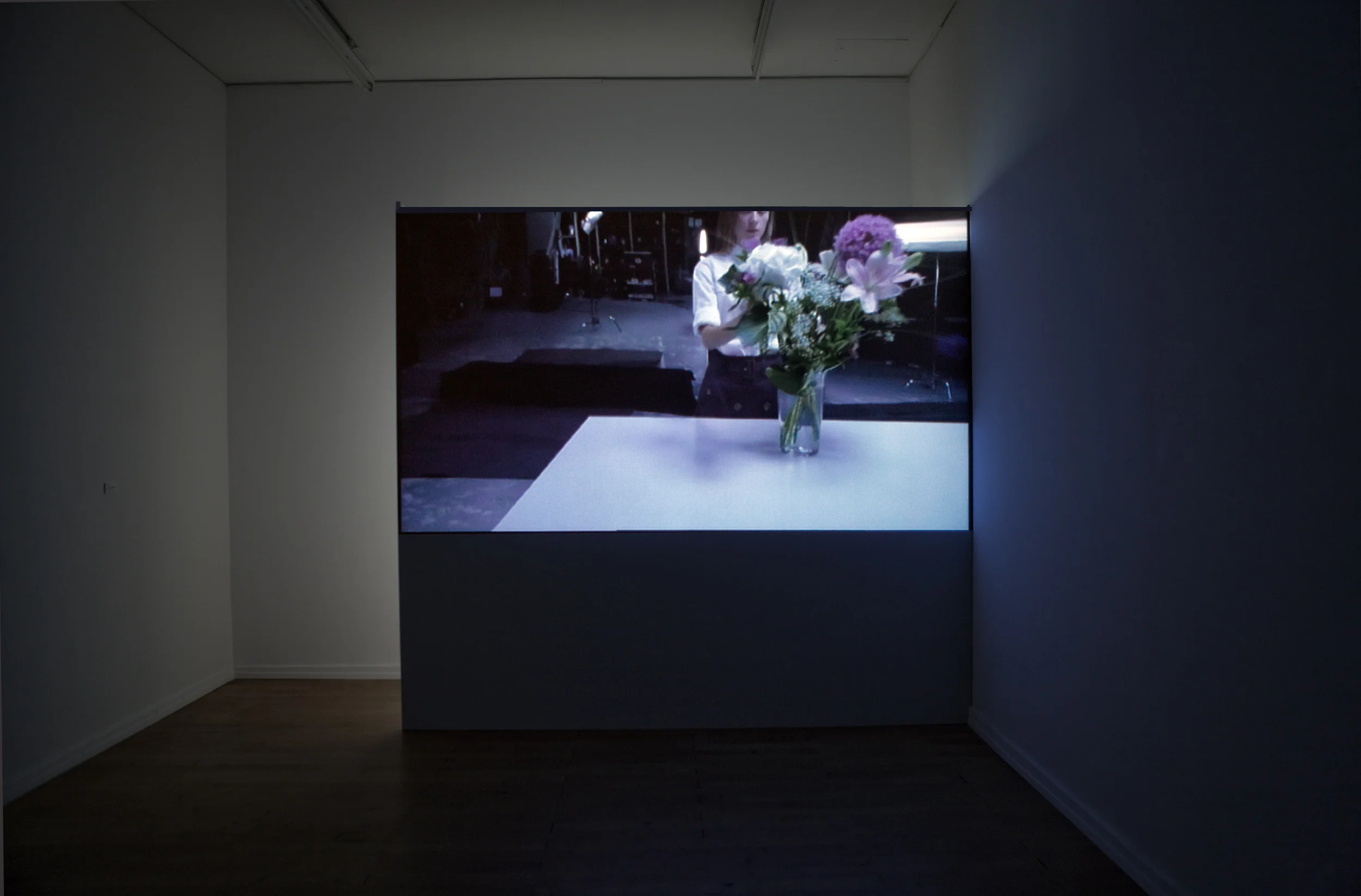Installation View: Nassauischer Kunstverein, Wiesbaden