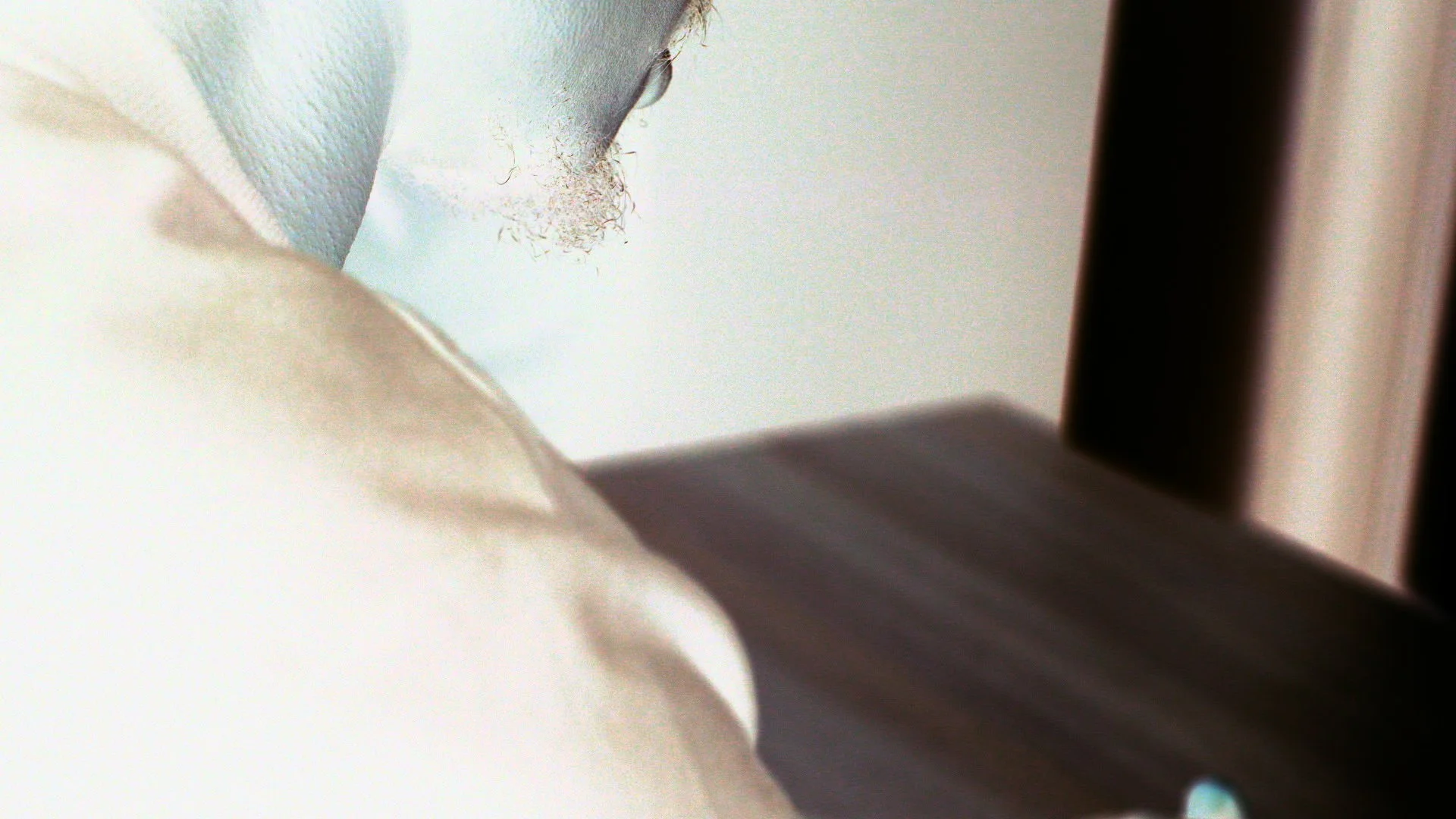 Final Edit #A.2-DE.00_04_30_04.Standbild012.jpg