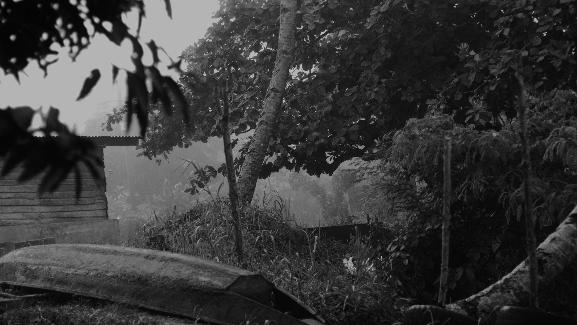 Final Edit #A.2-DE.00_25_17_07.Standbild005.jpg