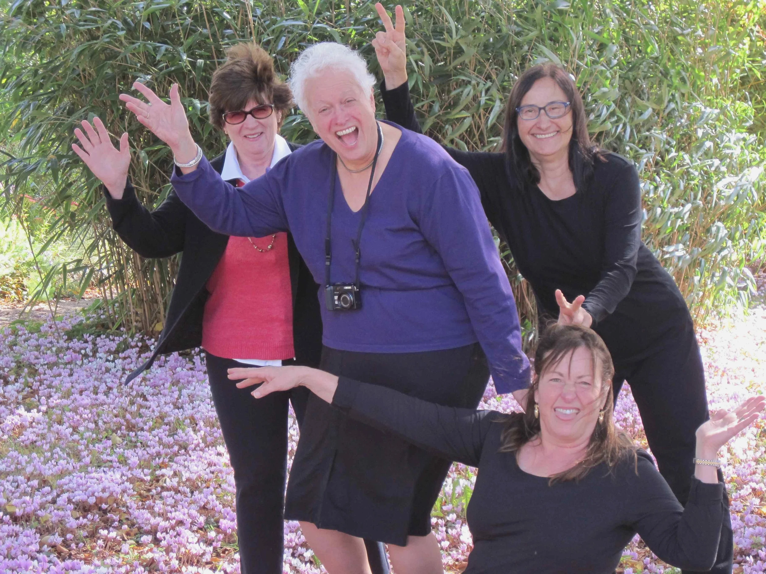 Goofy Topiary Pic-9 October 2014.jpg