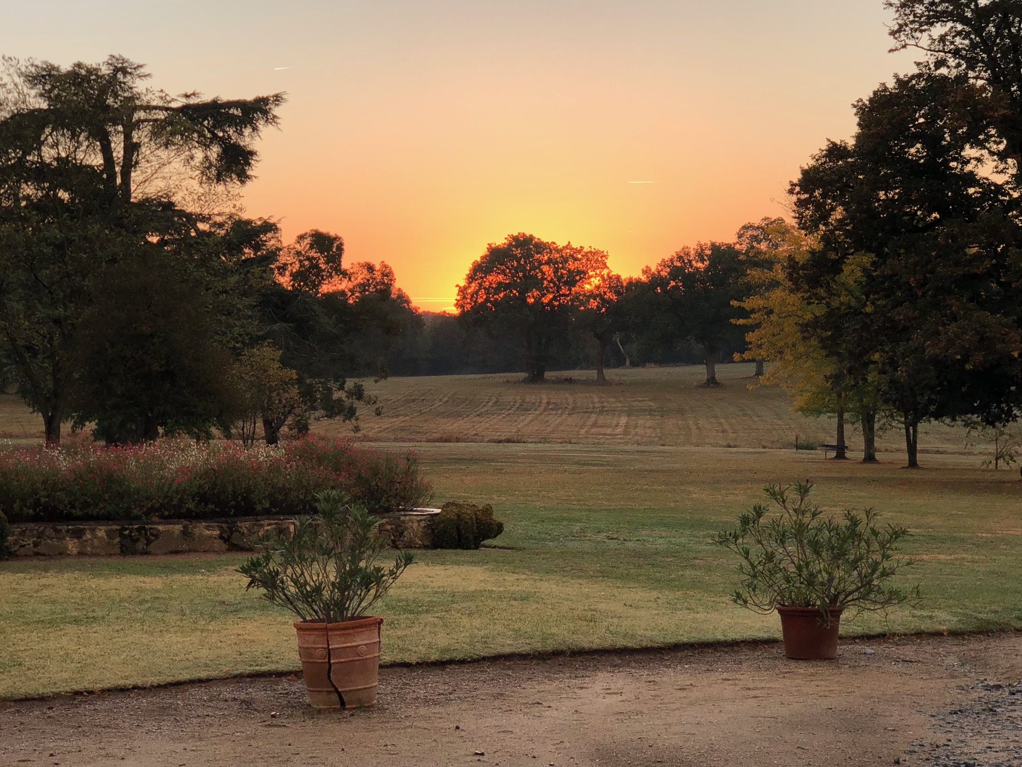 France-chateau-morningmeadow.jpg