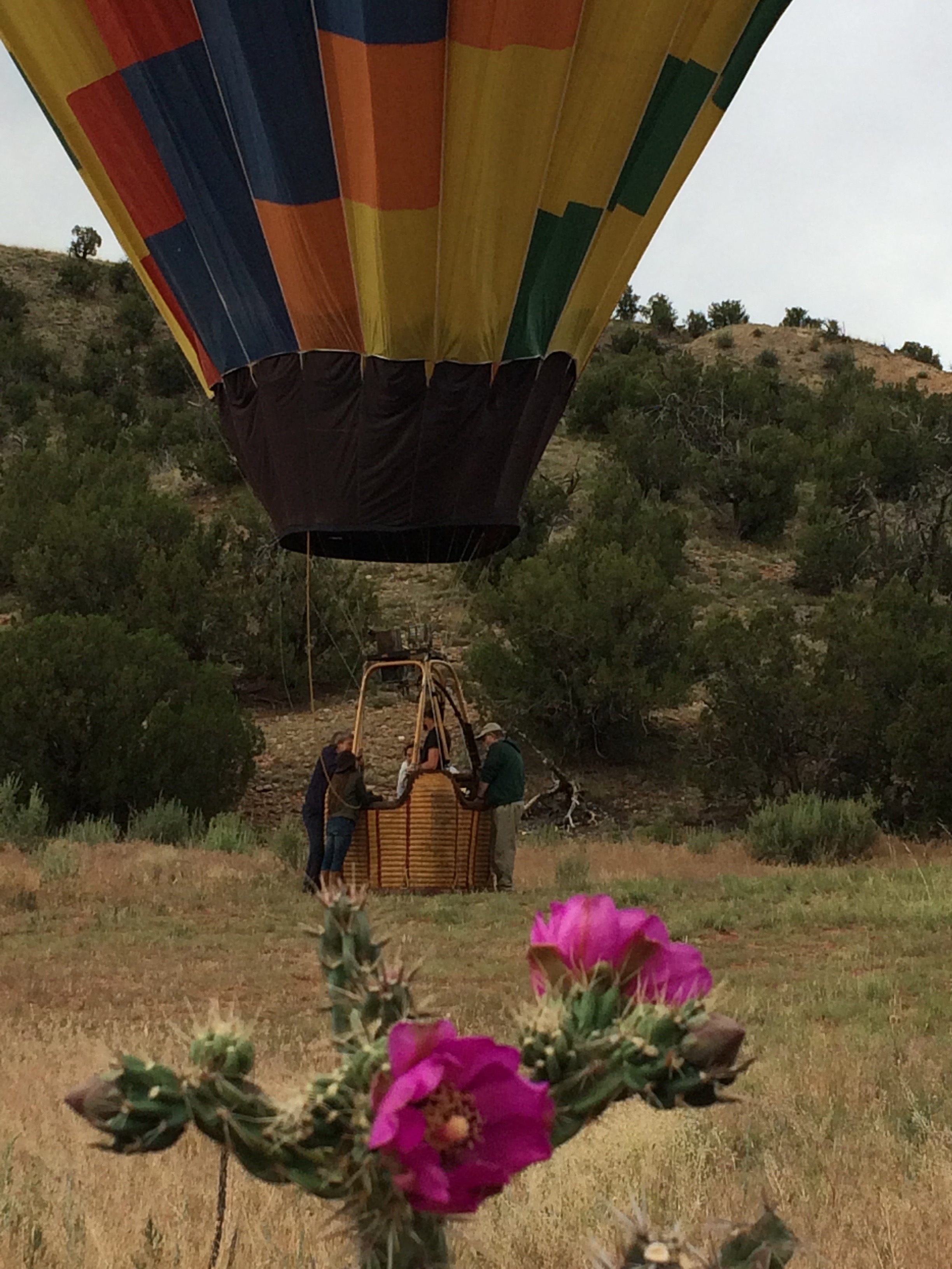 New Mexico-balloonwithcactus.jpg