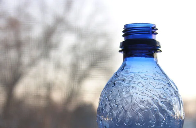 bottled-love-1328982-639x417.jpg