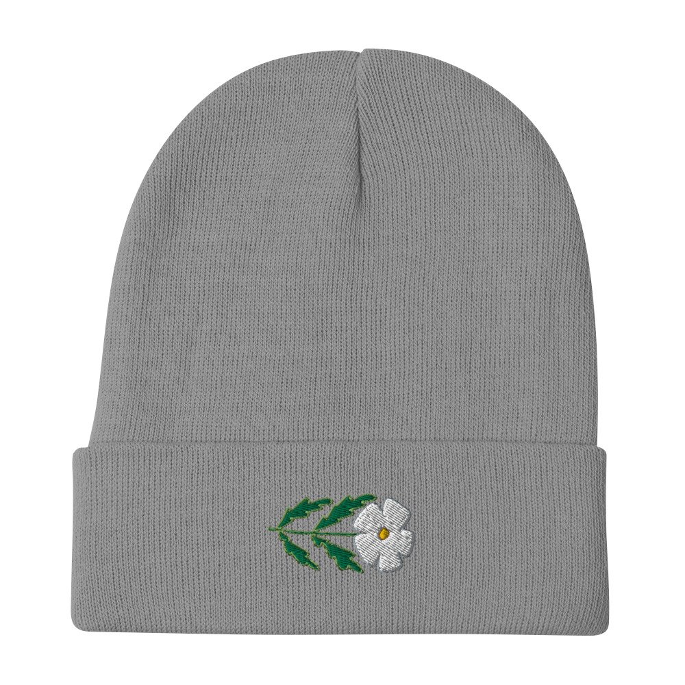 knit-beanie-gray-front-6500552e1fb5c.jpg