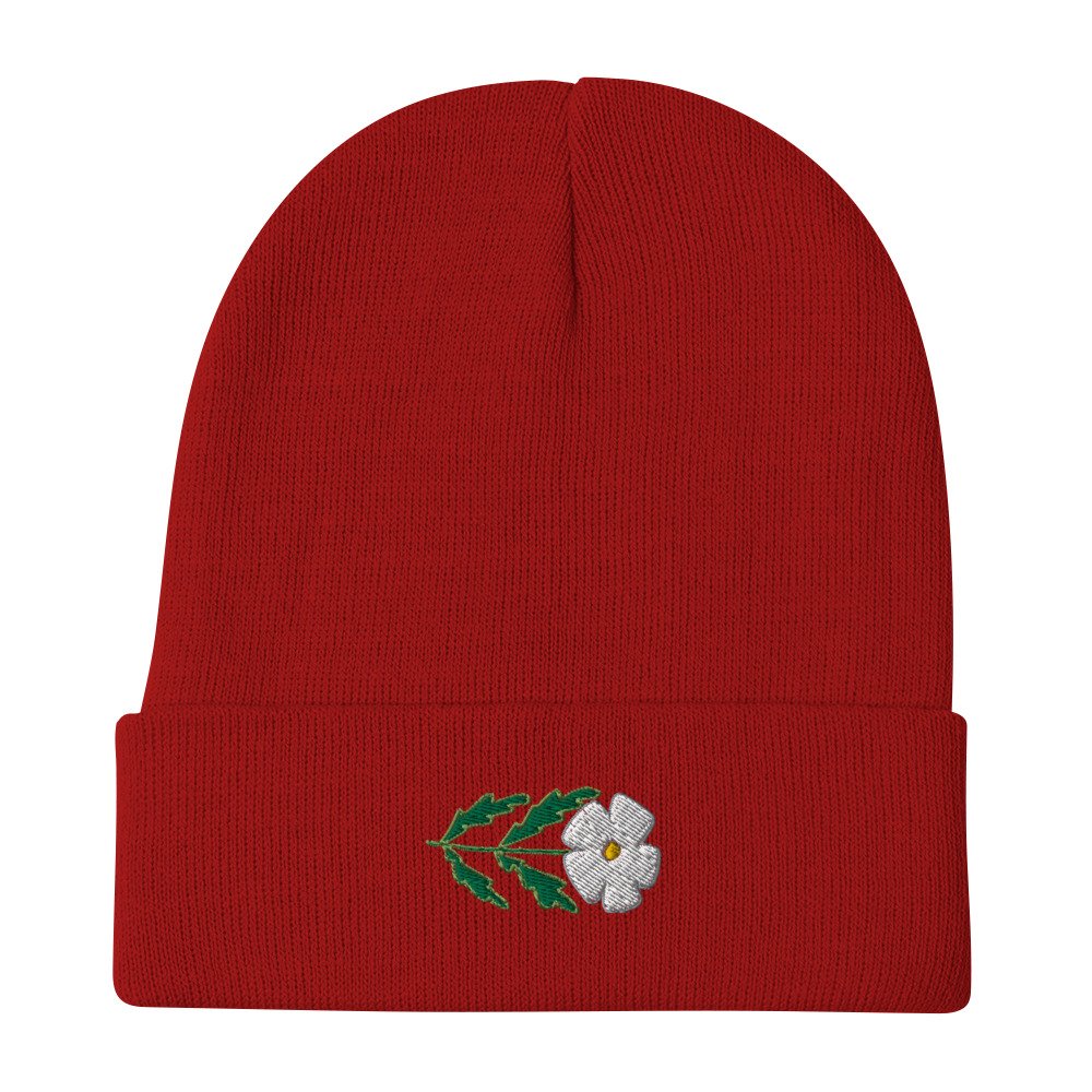 knit-beanie-red-front-6500552e72f3b.jpg