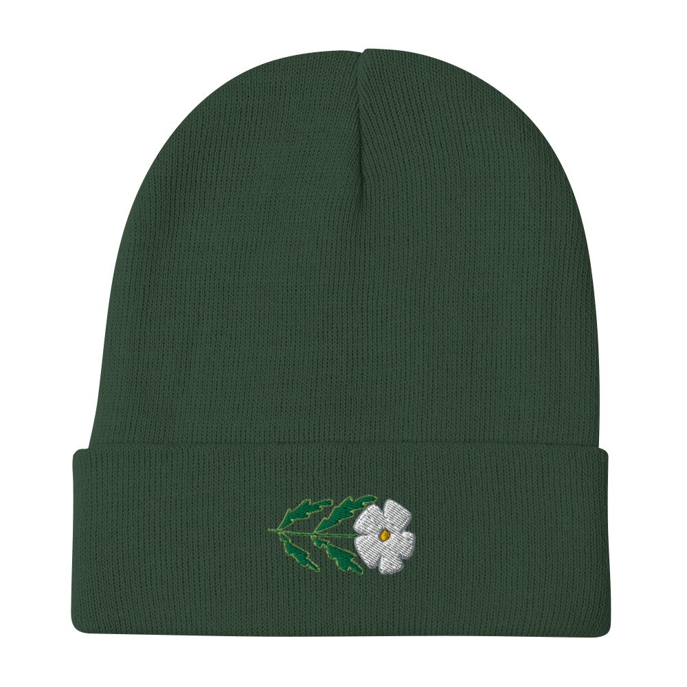 knit-beanie-dark-green-front-6500552e7309d.jpg