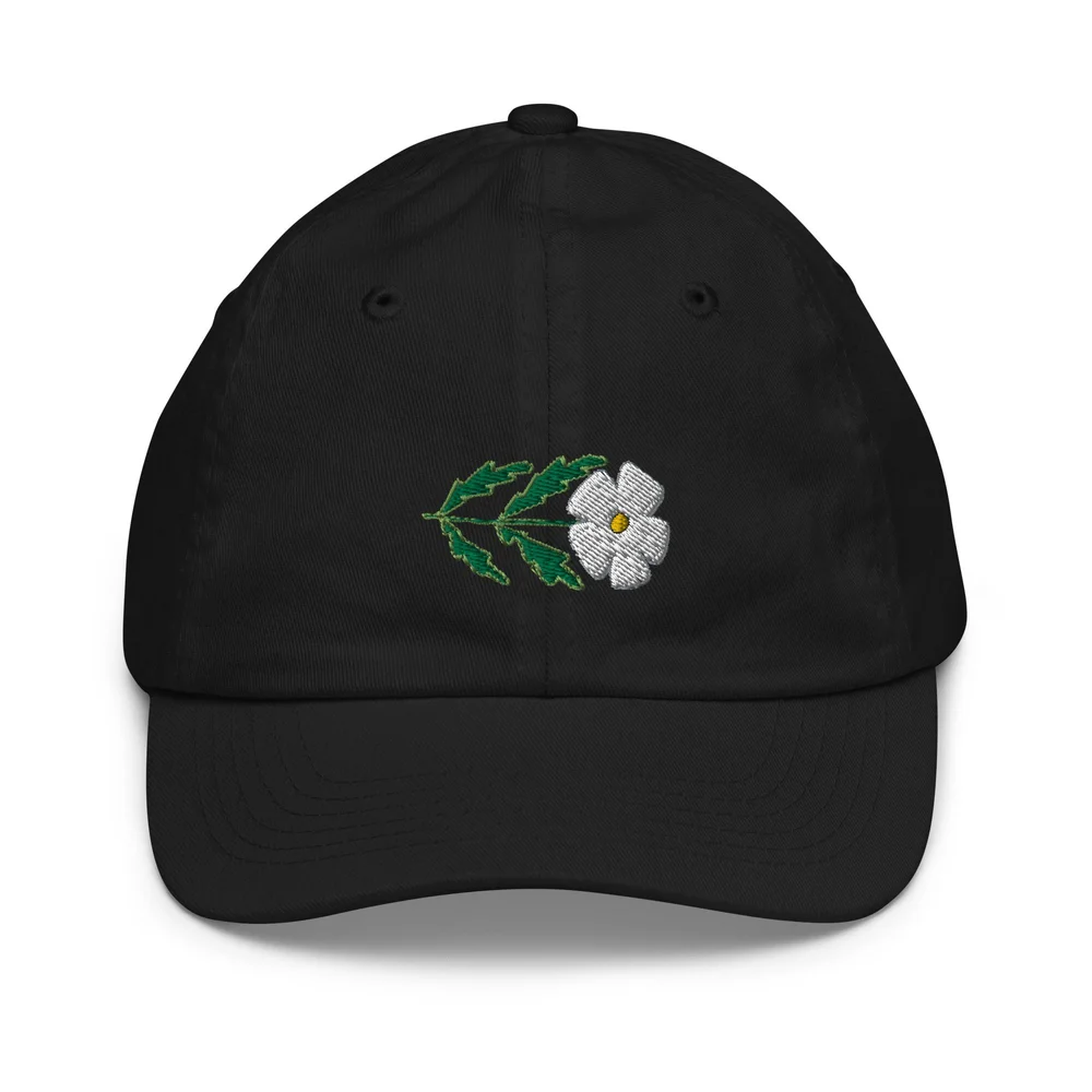 youth-baseball-cap-black-front 