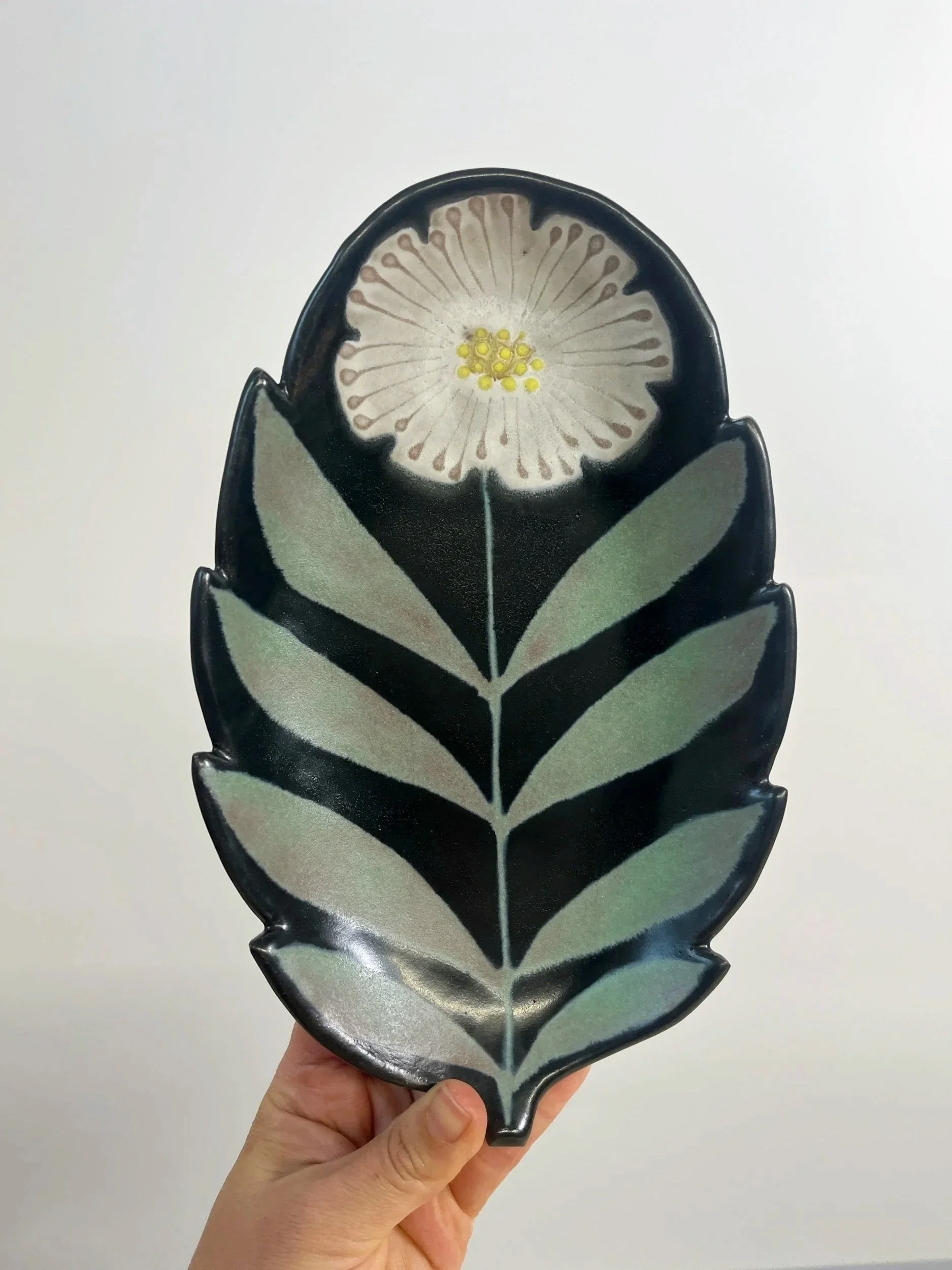 HWF1 // Hanging Wallflower
