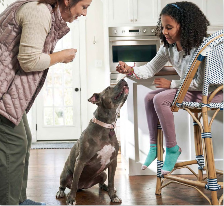 Screenshot 2026-01-07 at 9.20.06 PM.png