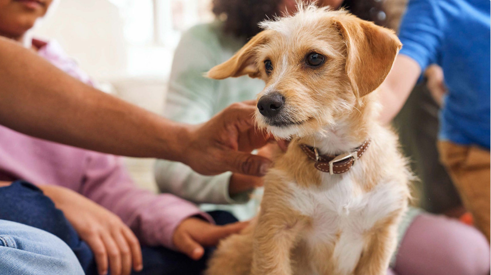 Screenshot 2026-01-07 at 9.21.01 PM.png