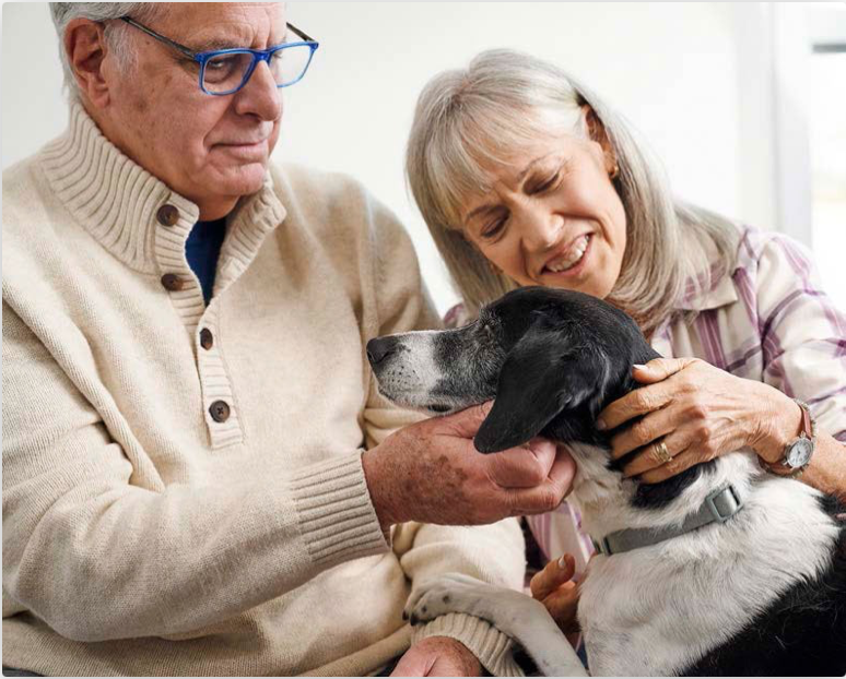 Screenshot 2026-01-07 at 9.21.41 PM.png