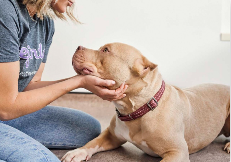 Screenshot 2026-01-07 at 9.22.12 PM.png