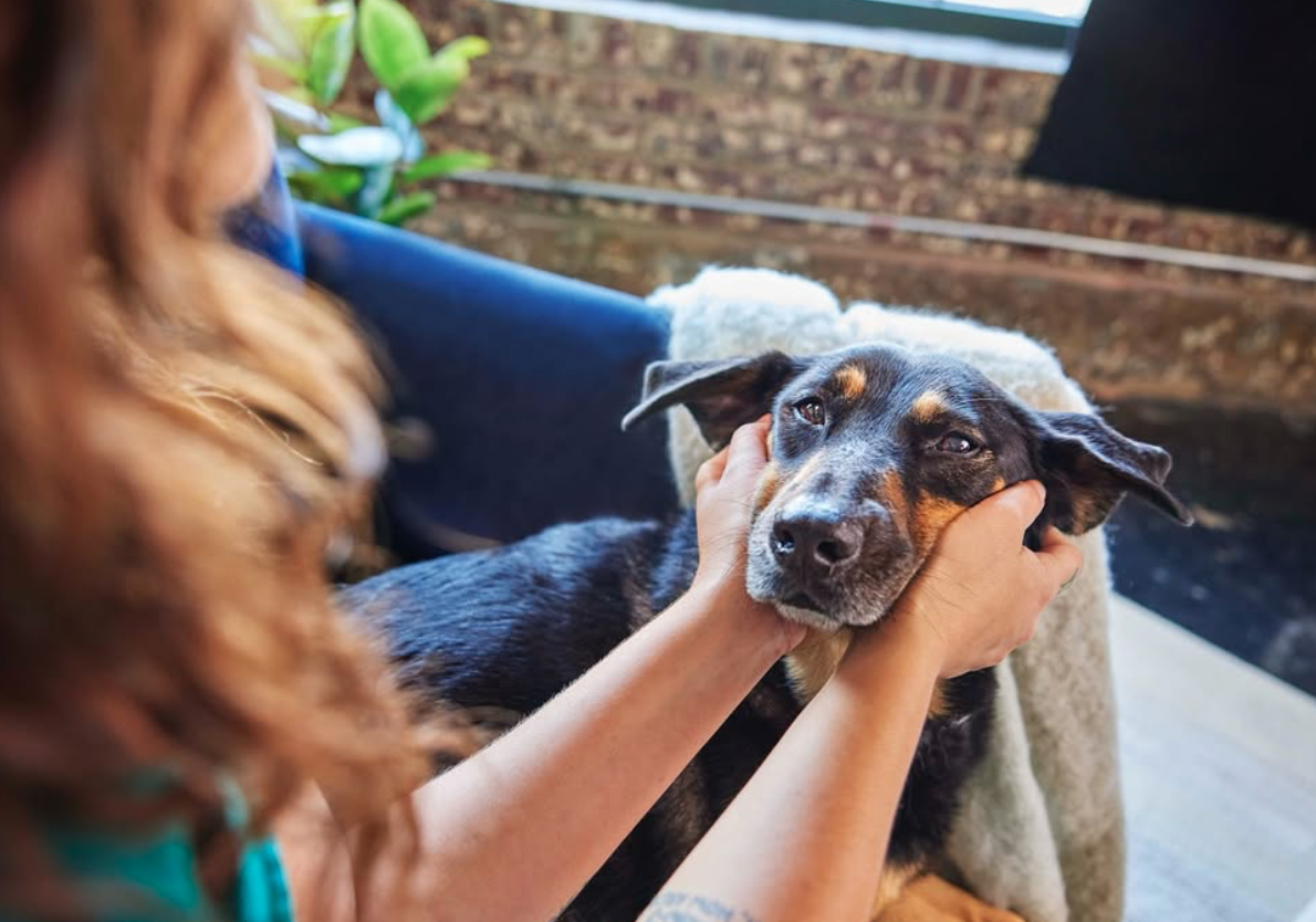 Screenshot 2026-01-14 at 12.59.11 PM.png