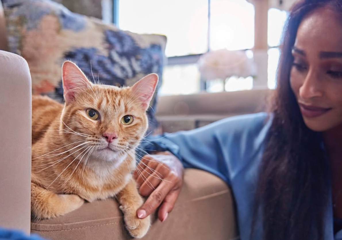 Screenshot 2026-01-14 at 12.59.37 PM.png