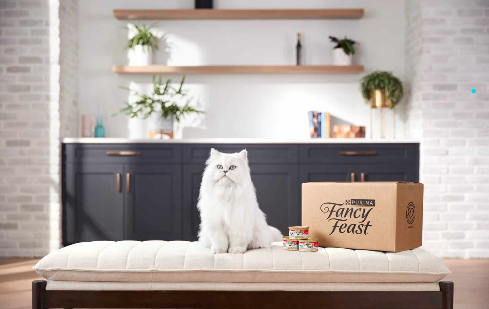 Screenshot 2026-01-14 at 11.31.20 AM.png