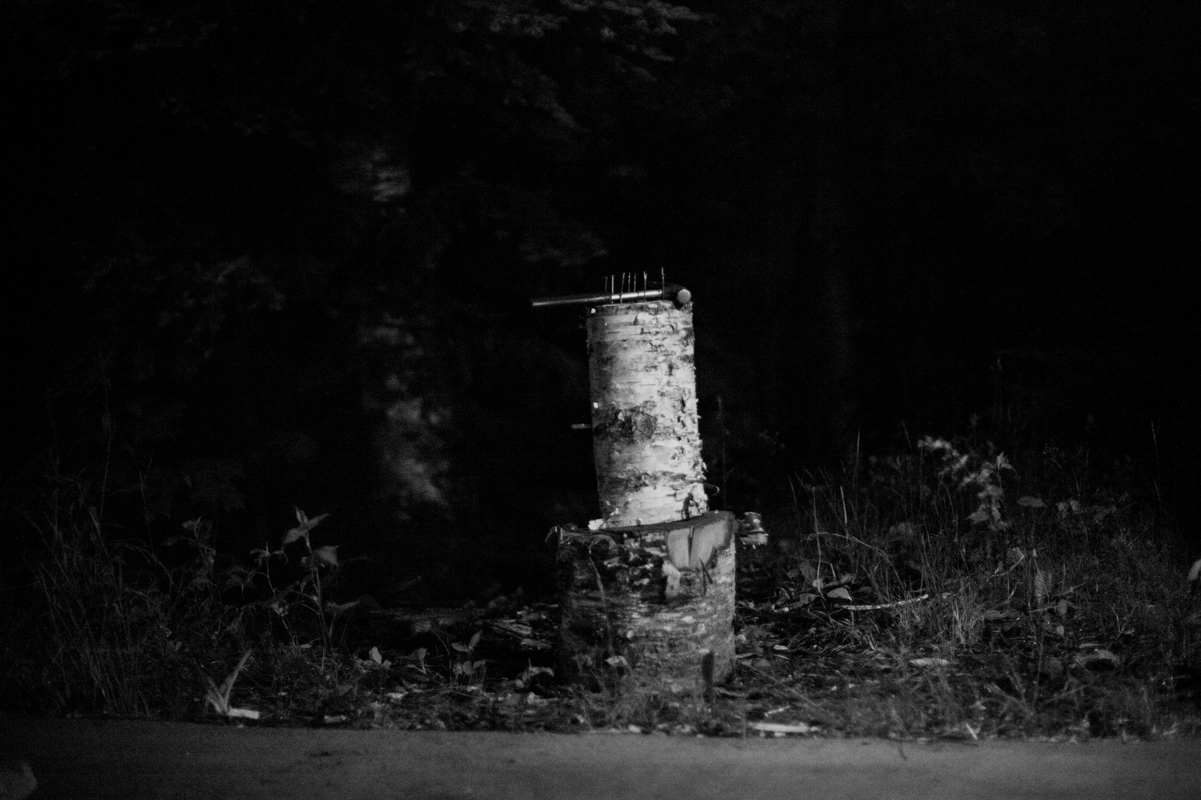 "Stump + Nails" 2016