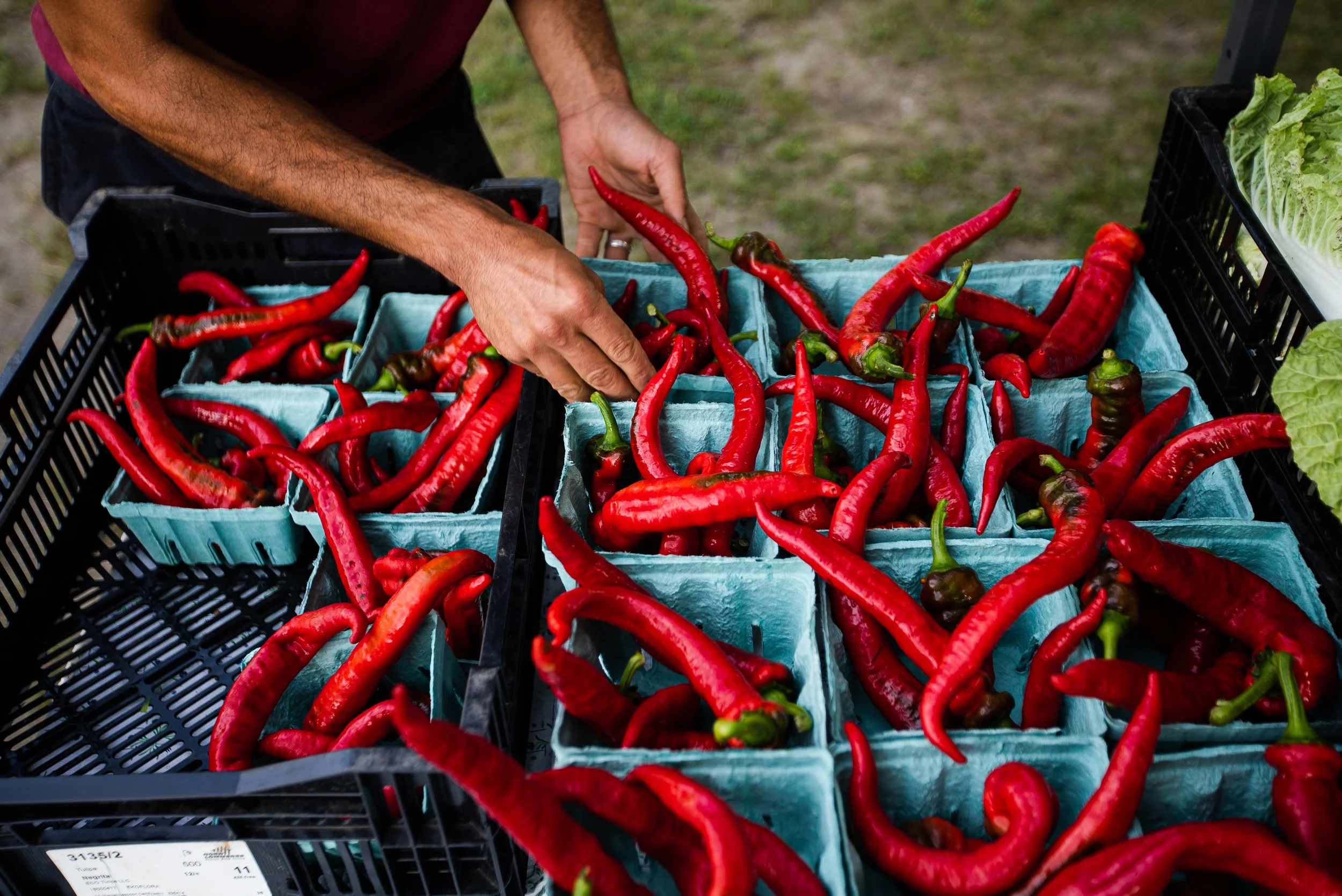 2021-calyx-farm-market-11533.jpg