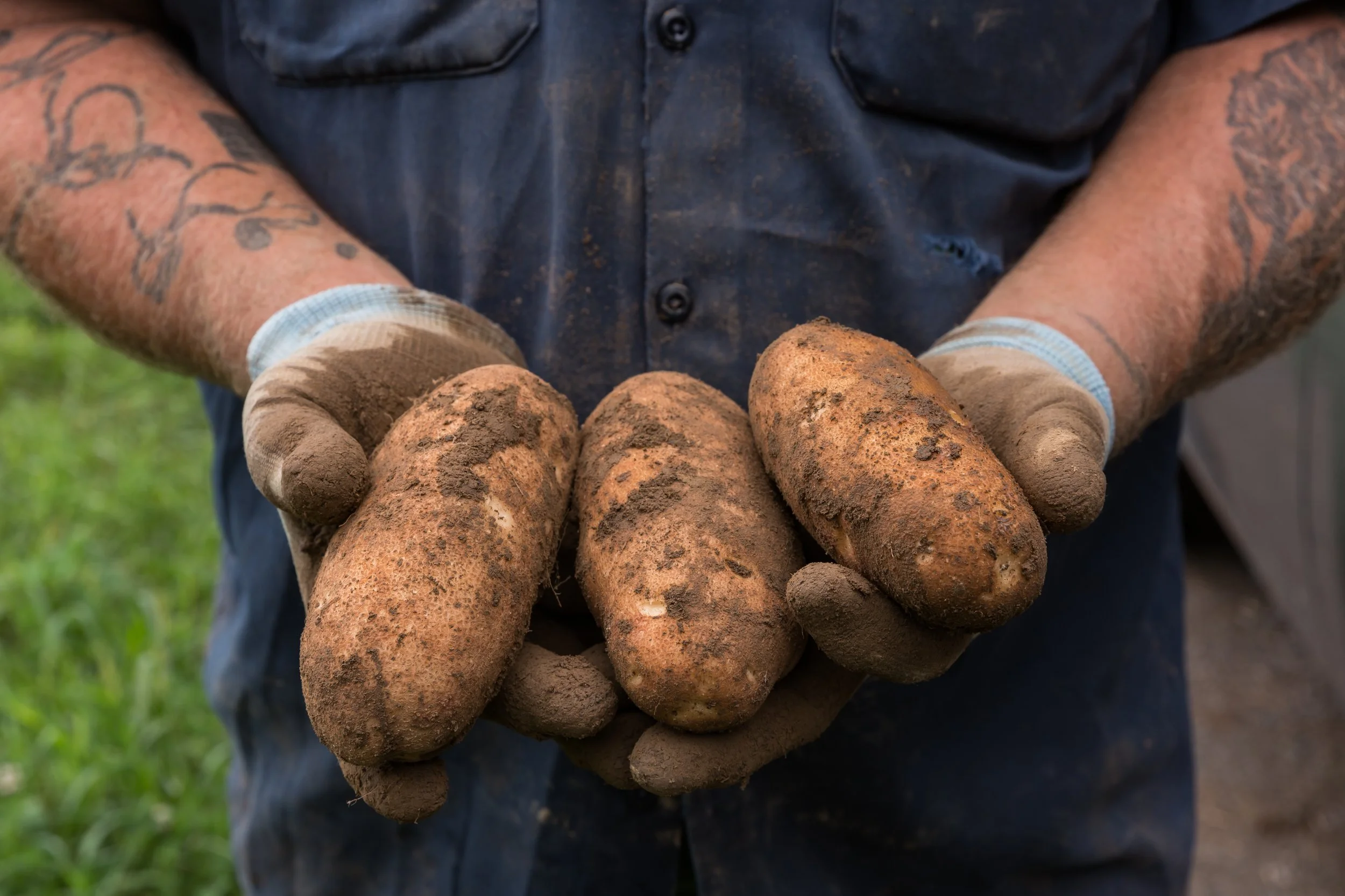 Buckle Farm_MFT_13_.jpg