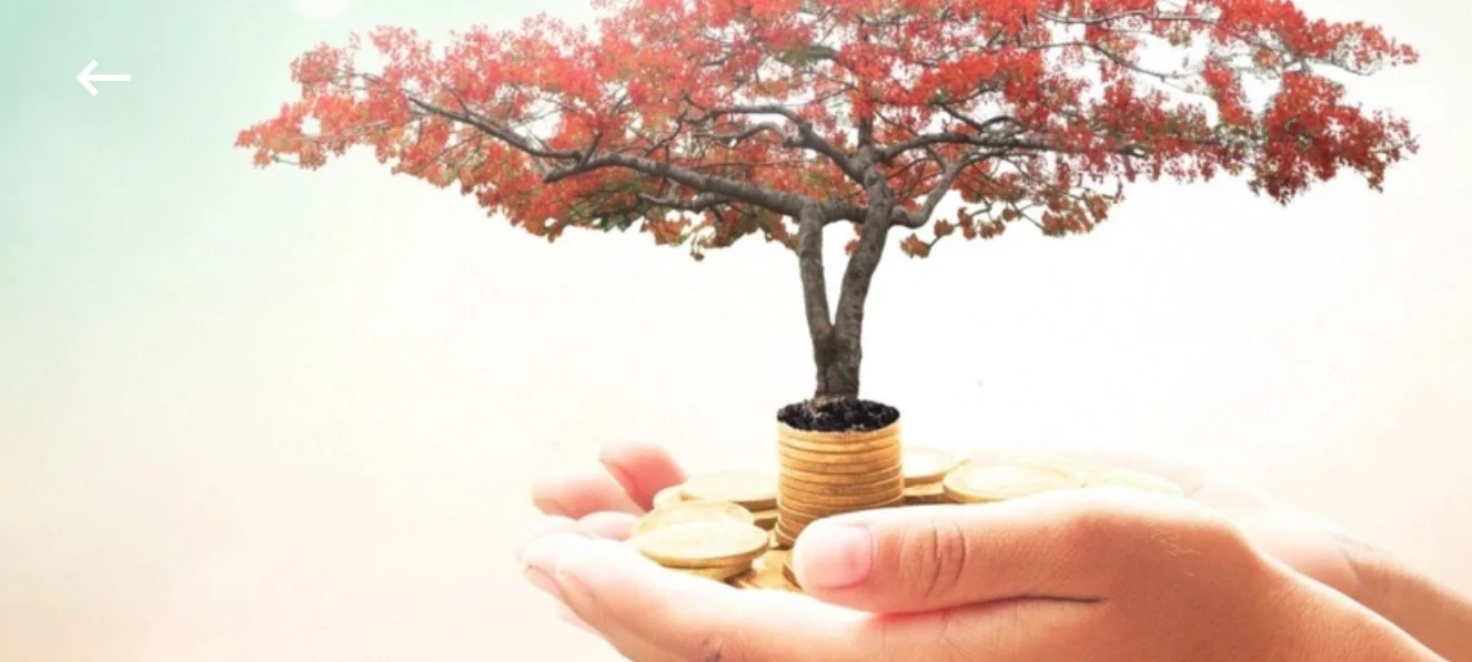 ENTREPRENEURS RESHAPING THE FUTURE