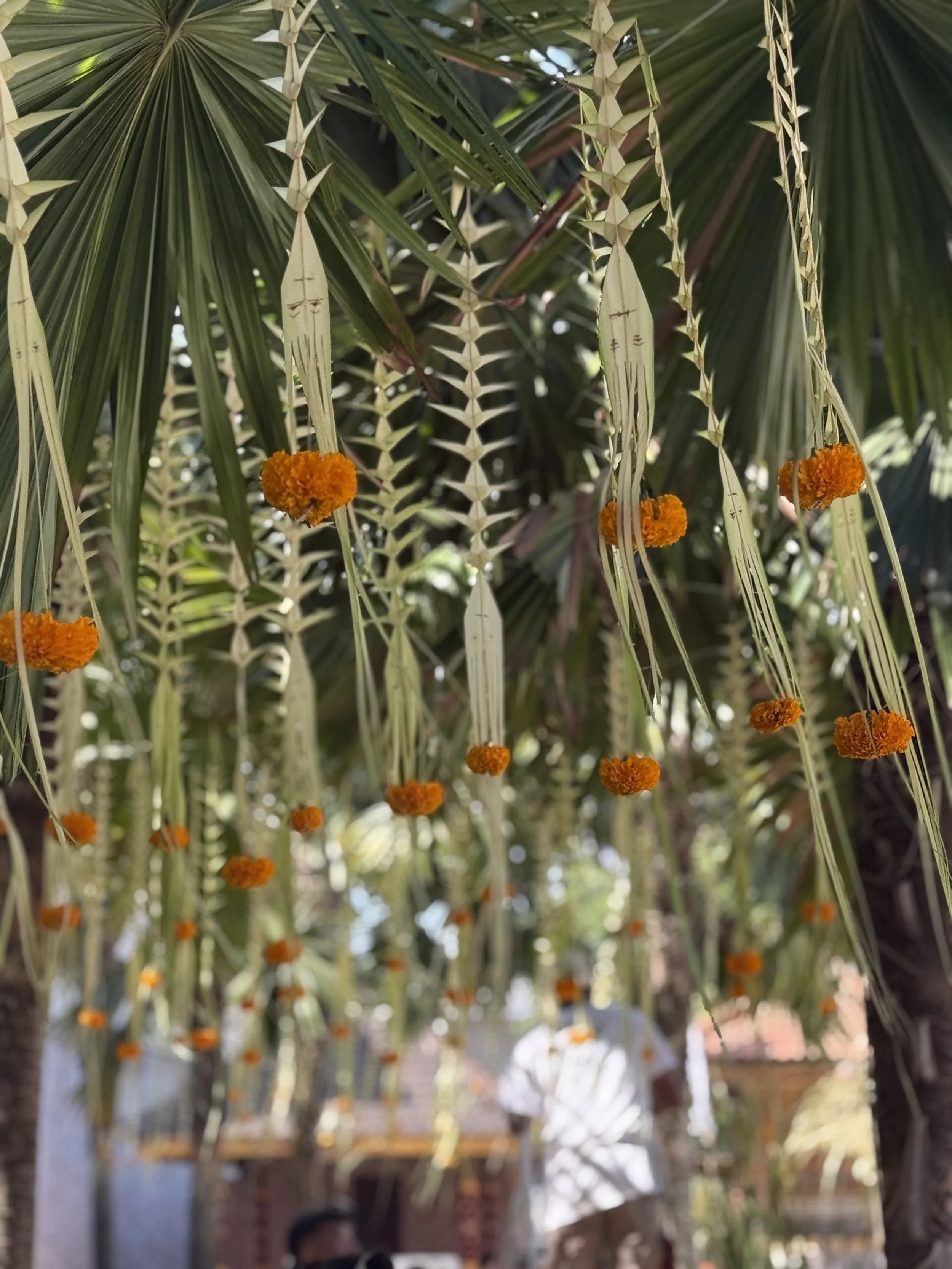 34Jenggala 50th Event Bali Elami.jpg