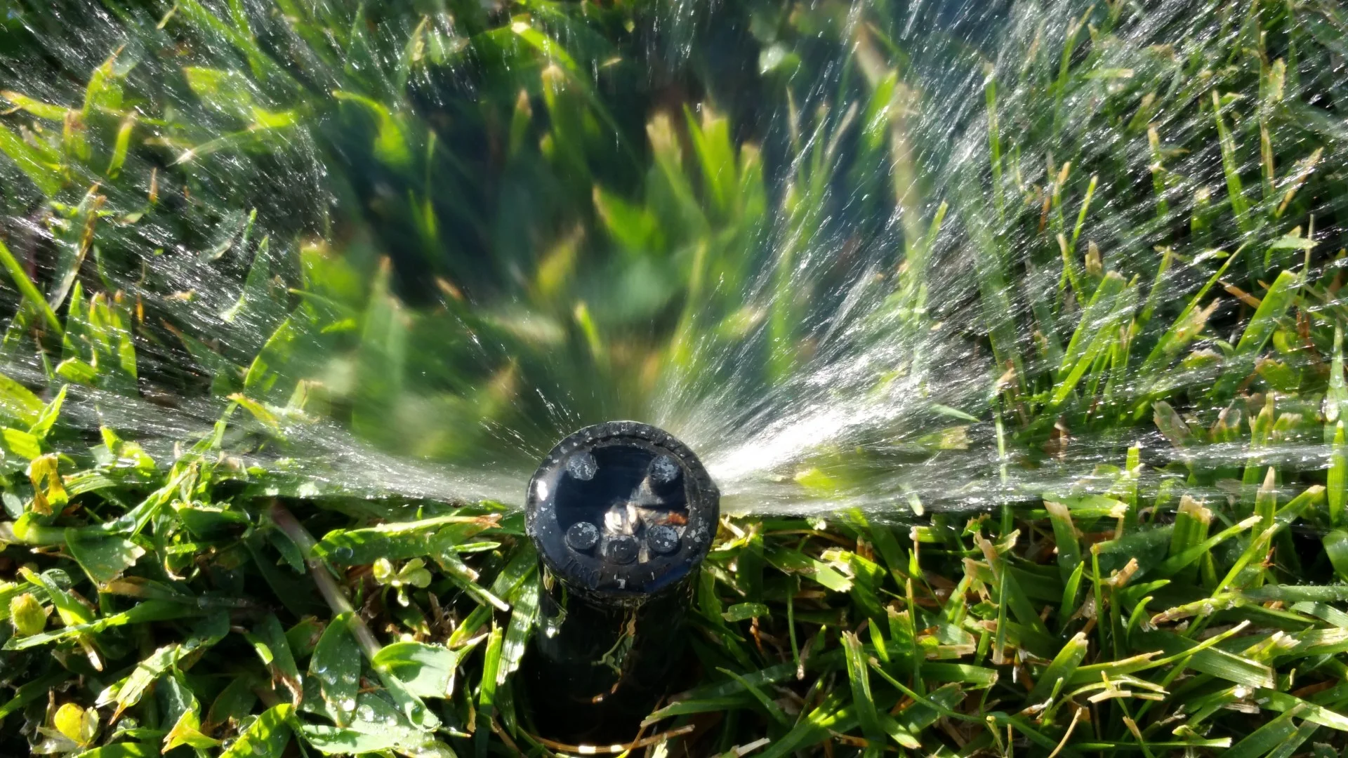 sprinkler.jpg