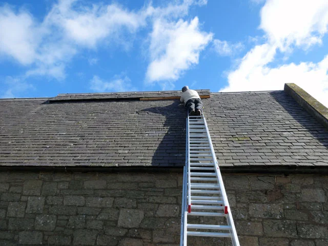 roof.jpg