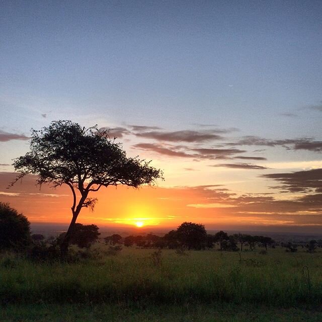 We can&rsquo;t travel but we can dream! Contact us for 2021 trips to our magical Tanzania.
.
.
.
#africa #dream #landscape #travel #sunset #sunrise #adventure #especiallyafrica #loves_africa #tanzania #safari #2021 #future #beauty #skyporn #serengeti