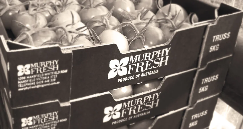 Murphy_Fresh_box.jpg