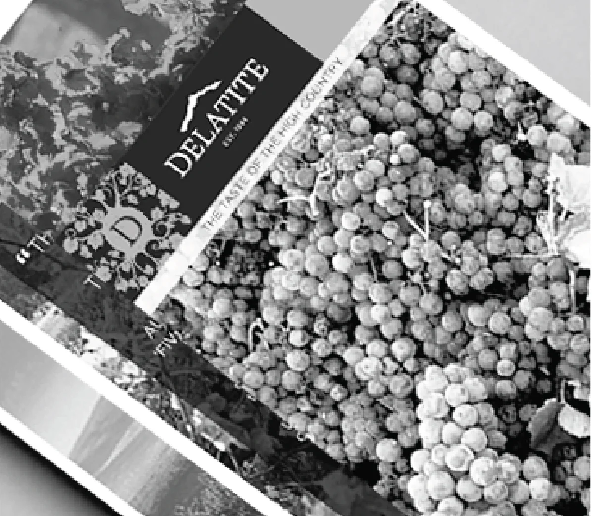 Gravity folio Delatite-04.jpg
