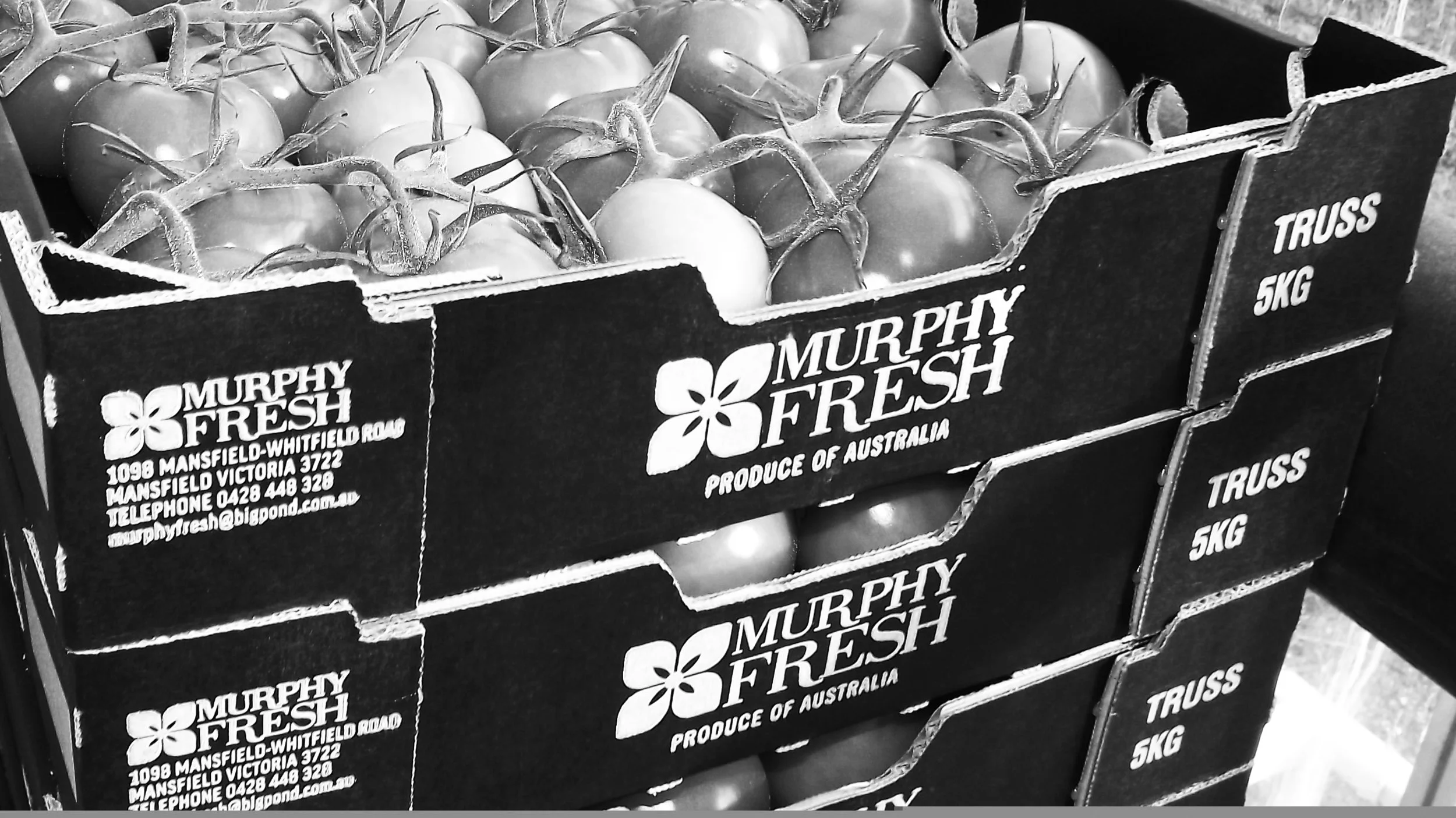 murphy fresh pack.jpg